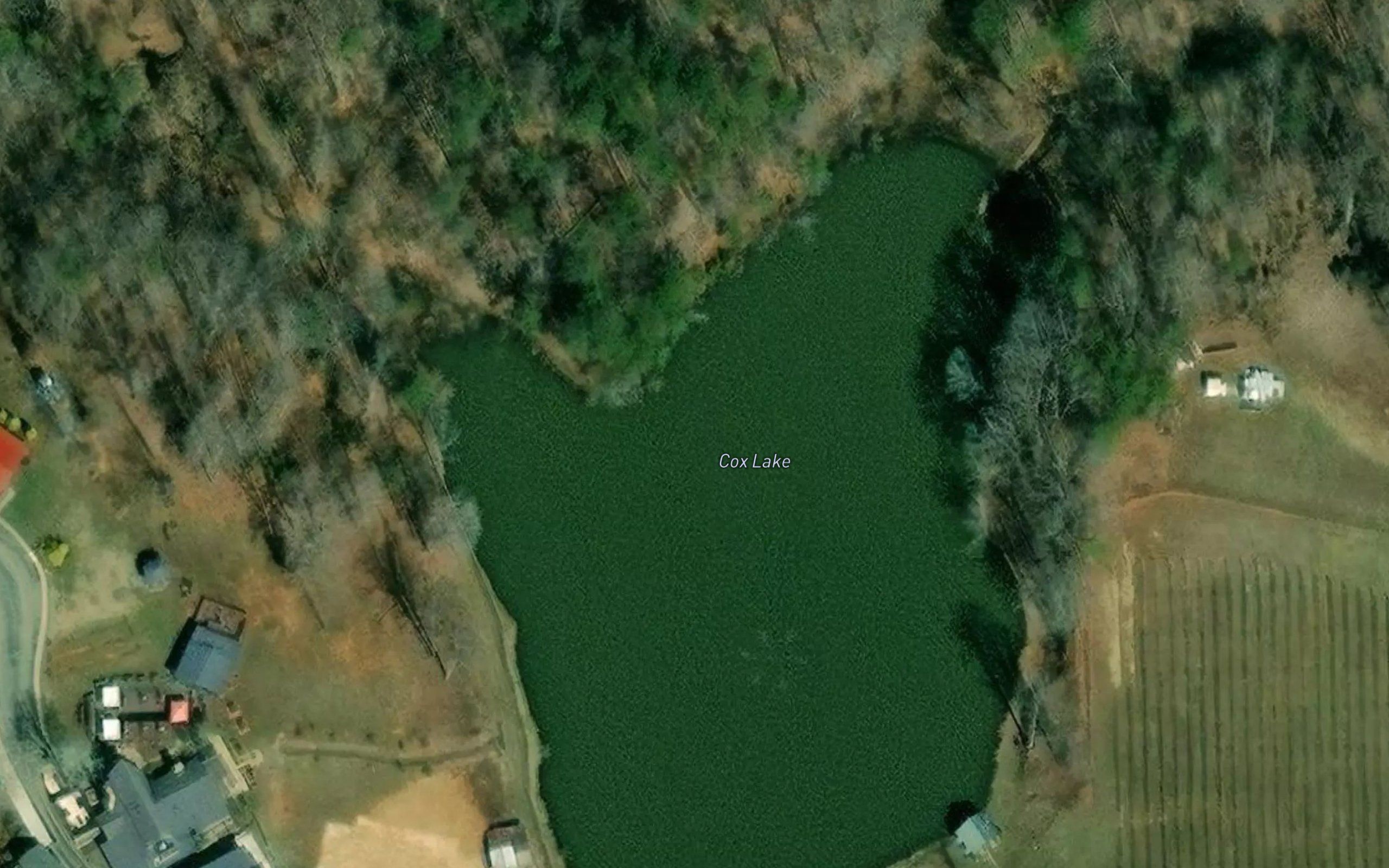 Cox Lake