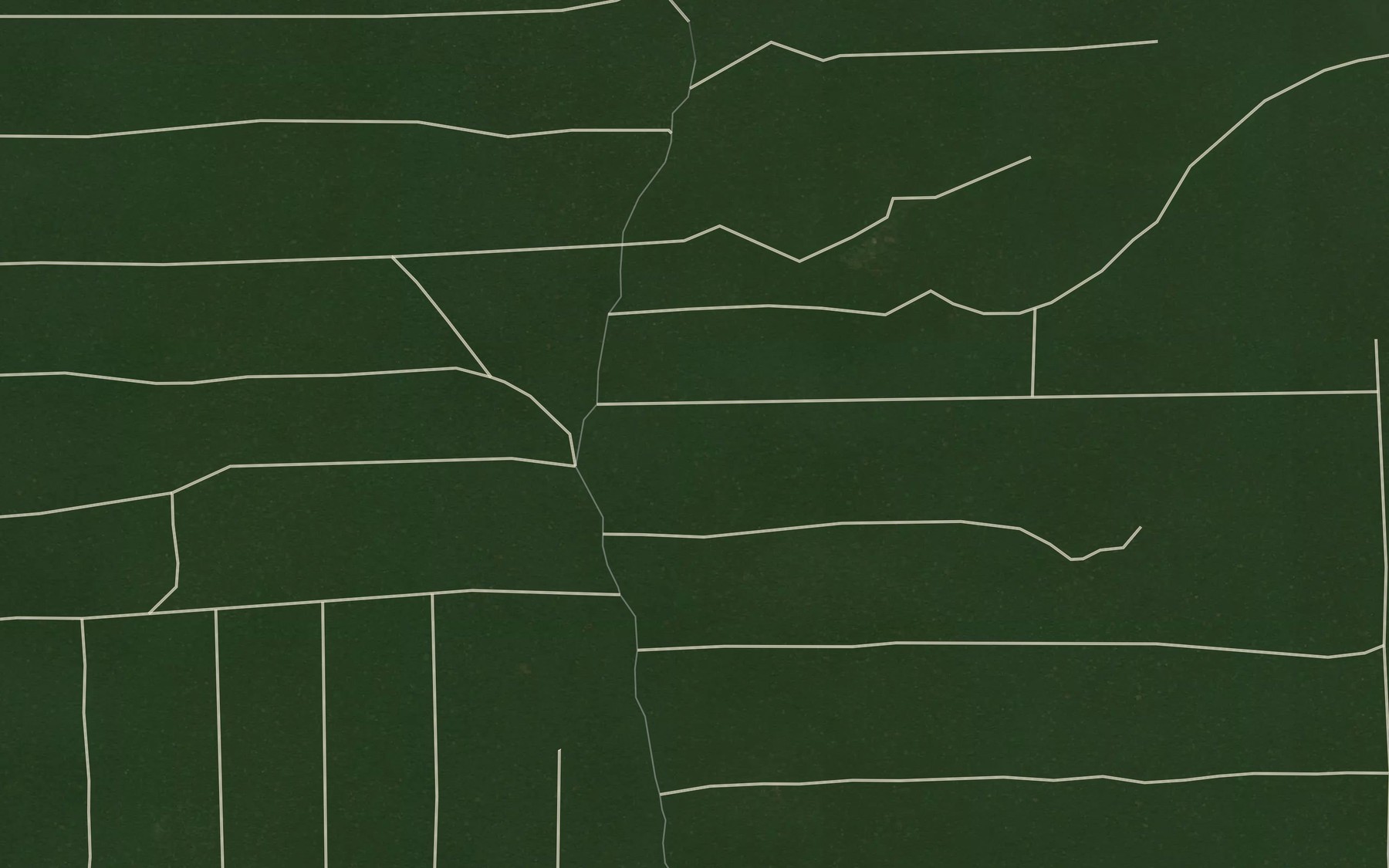 Satellite map of the Balinki