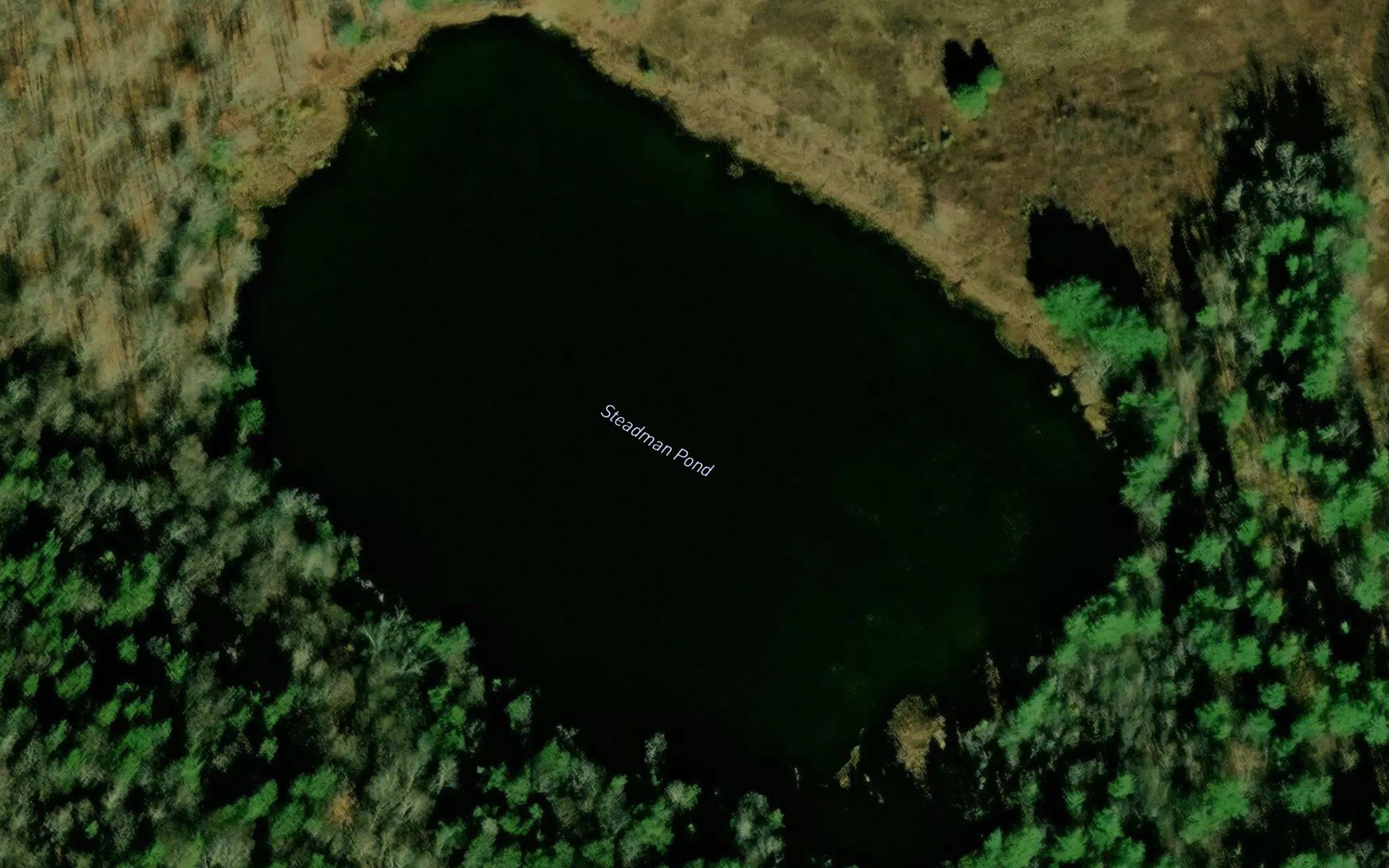 Steadman Pond