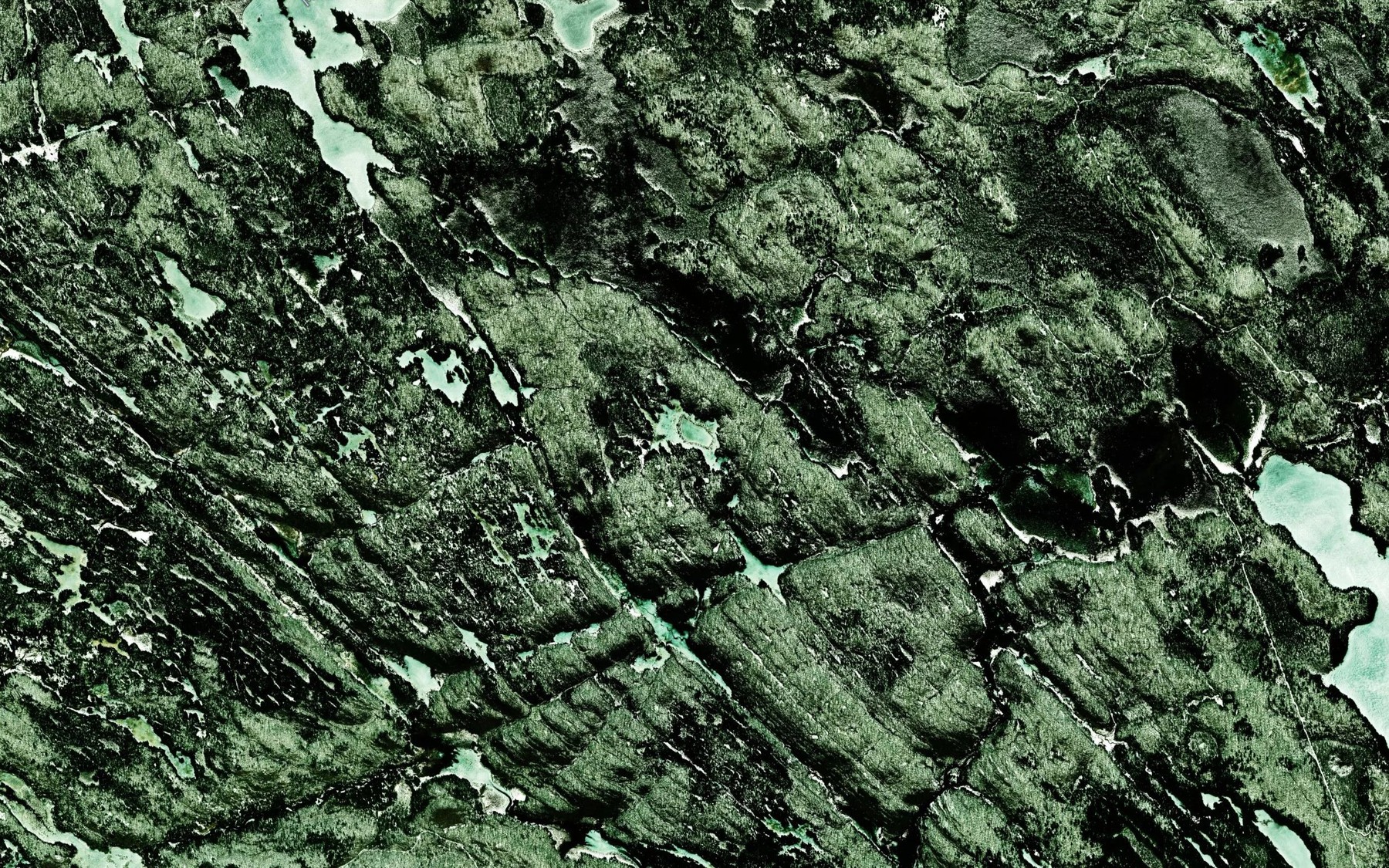Satellite map of the Concession Lake