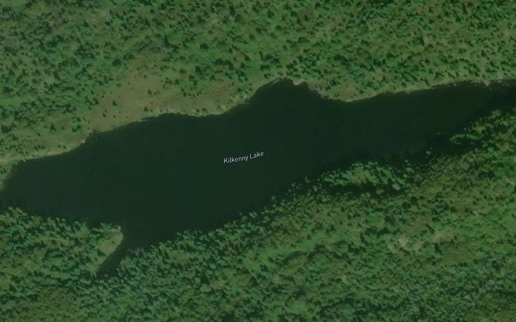 Satellite map of the Kilkenny Lake