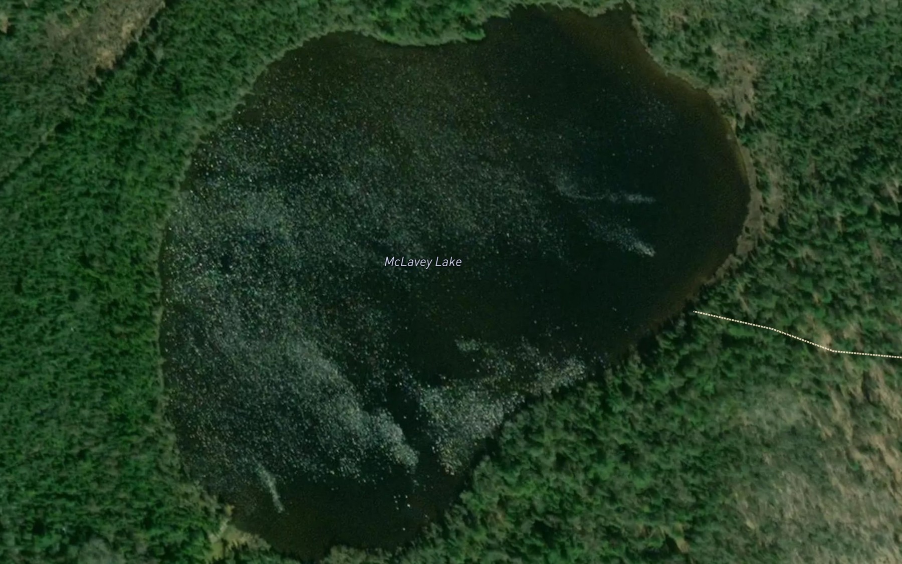 Satellite map of the McLavey Lake