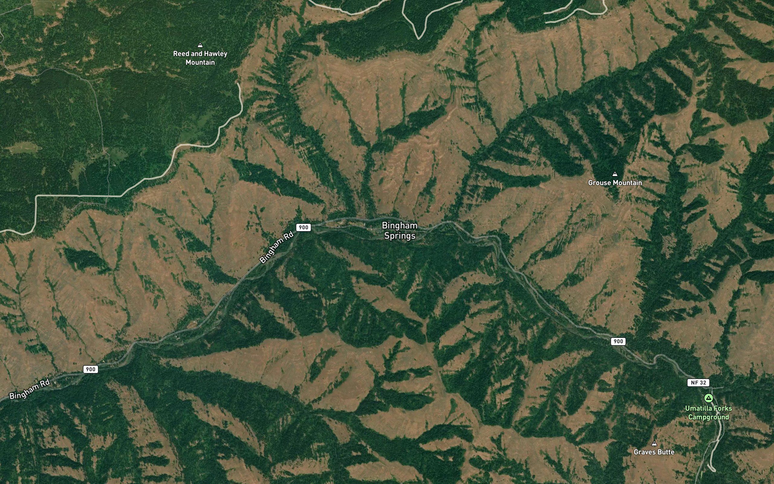 Bingham Springs