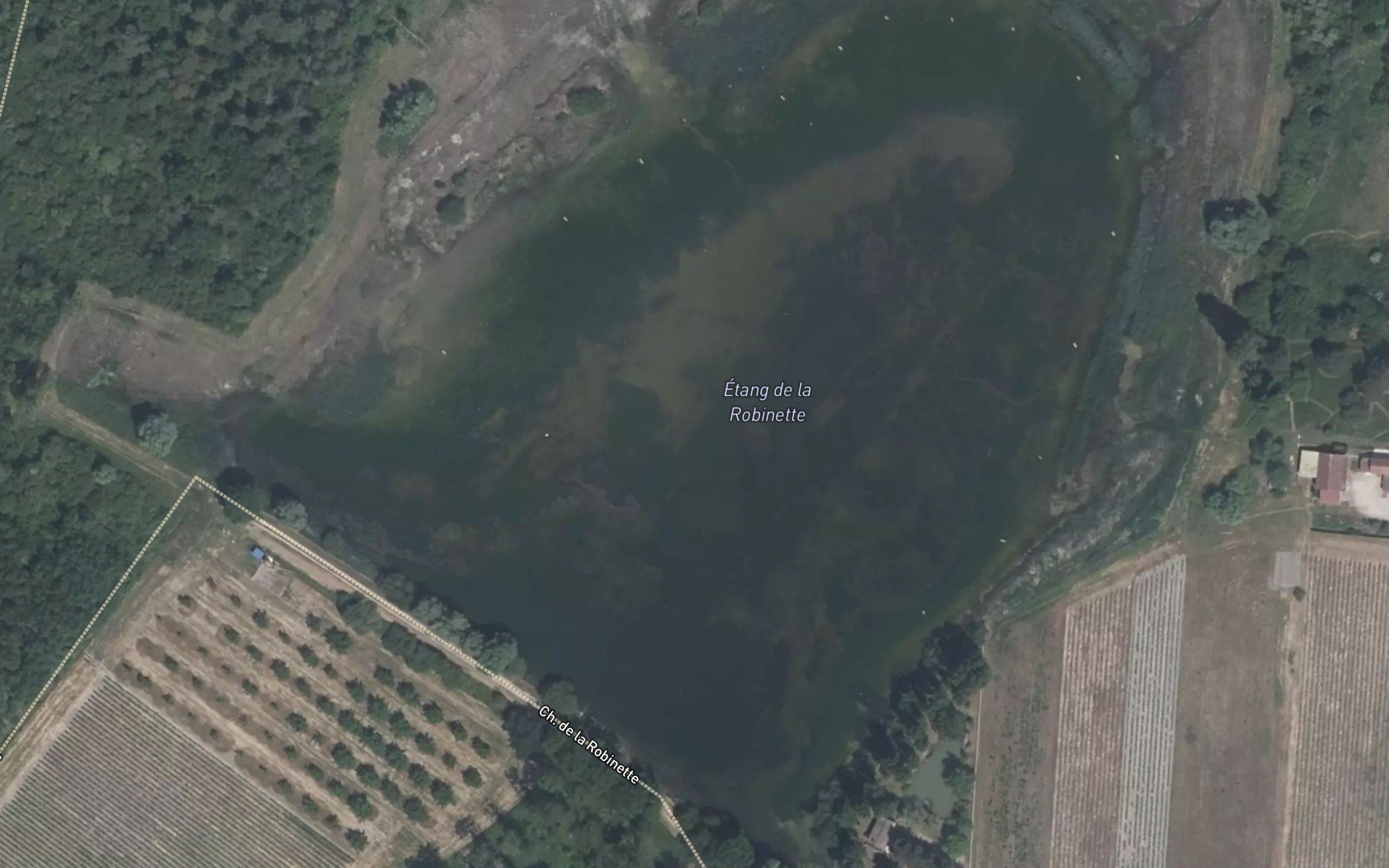 Etang de la Robinette