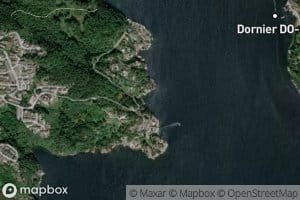 Bellevika