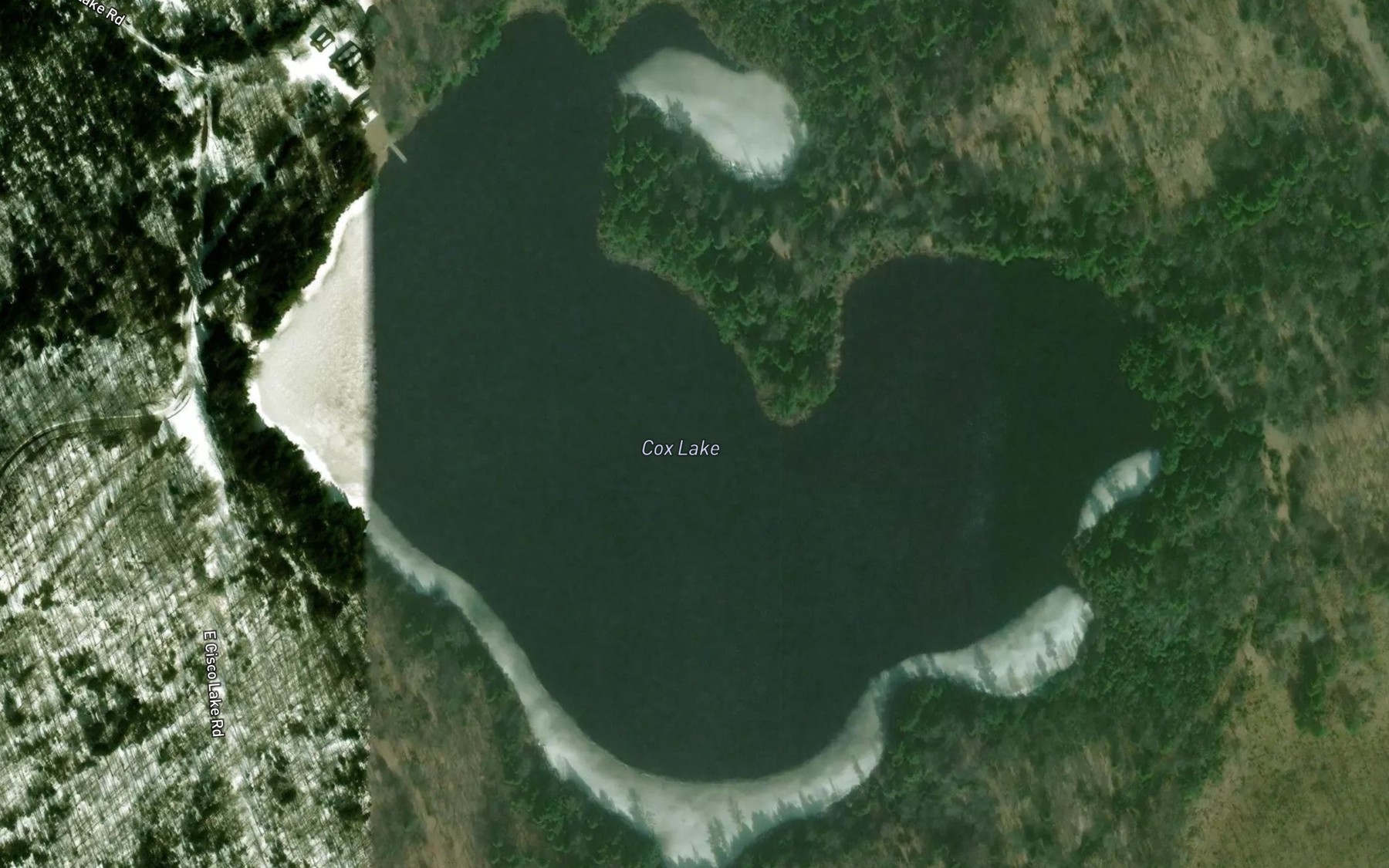Satellite map of the Cox Lake