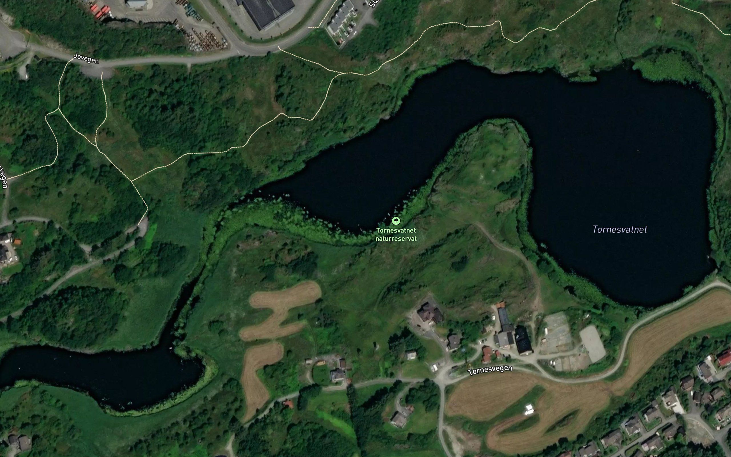 Tornesvatnet