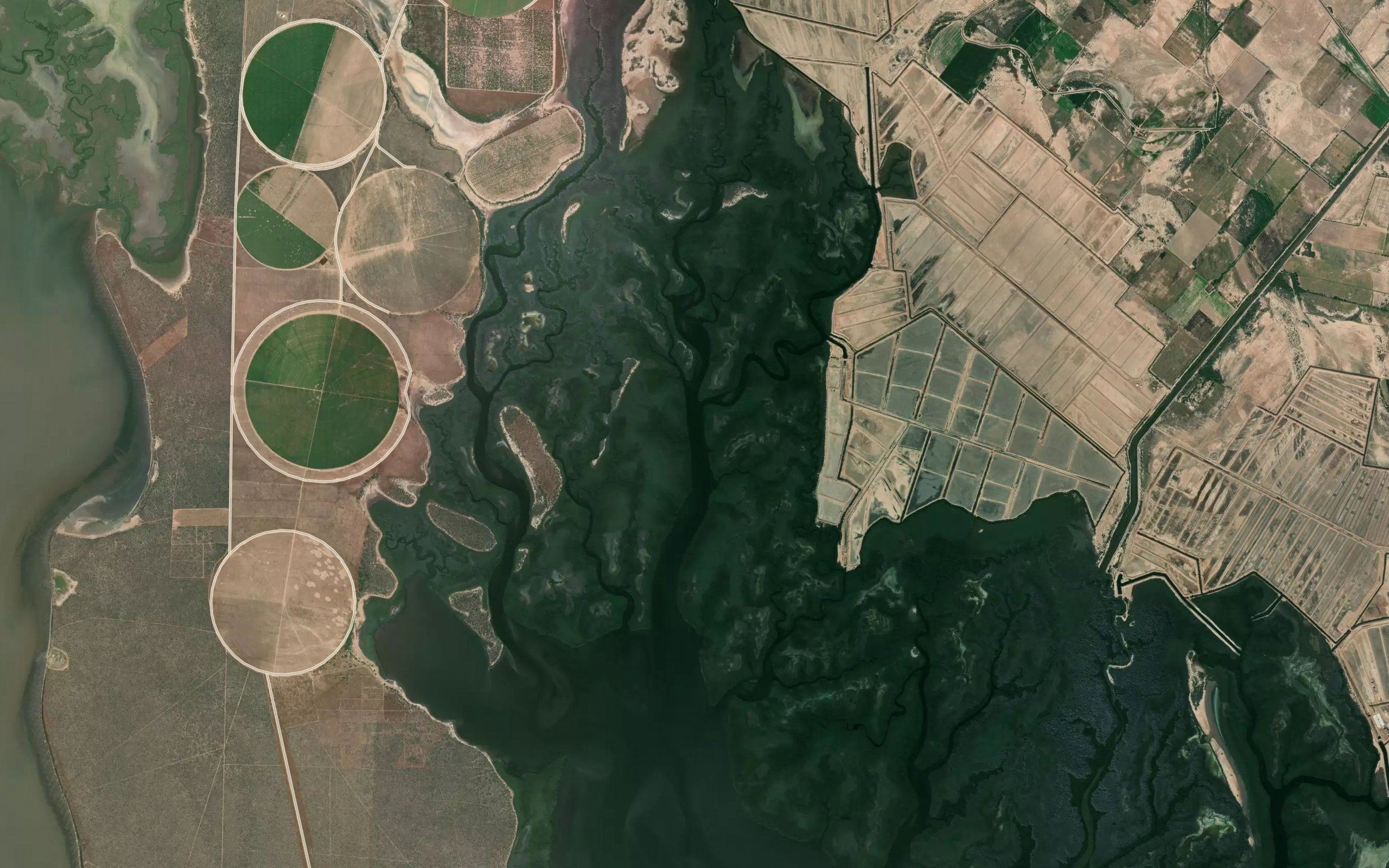 Estero Vallecitas