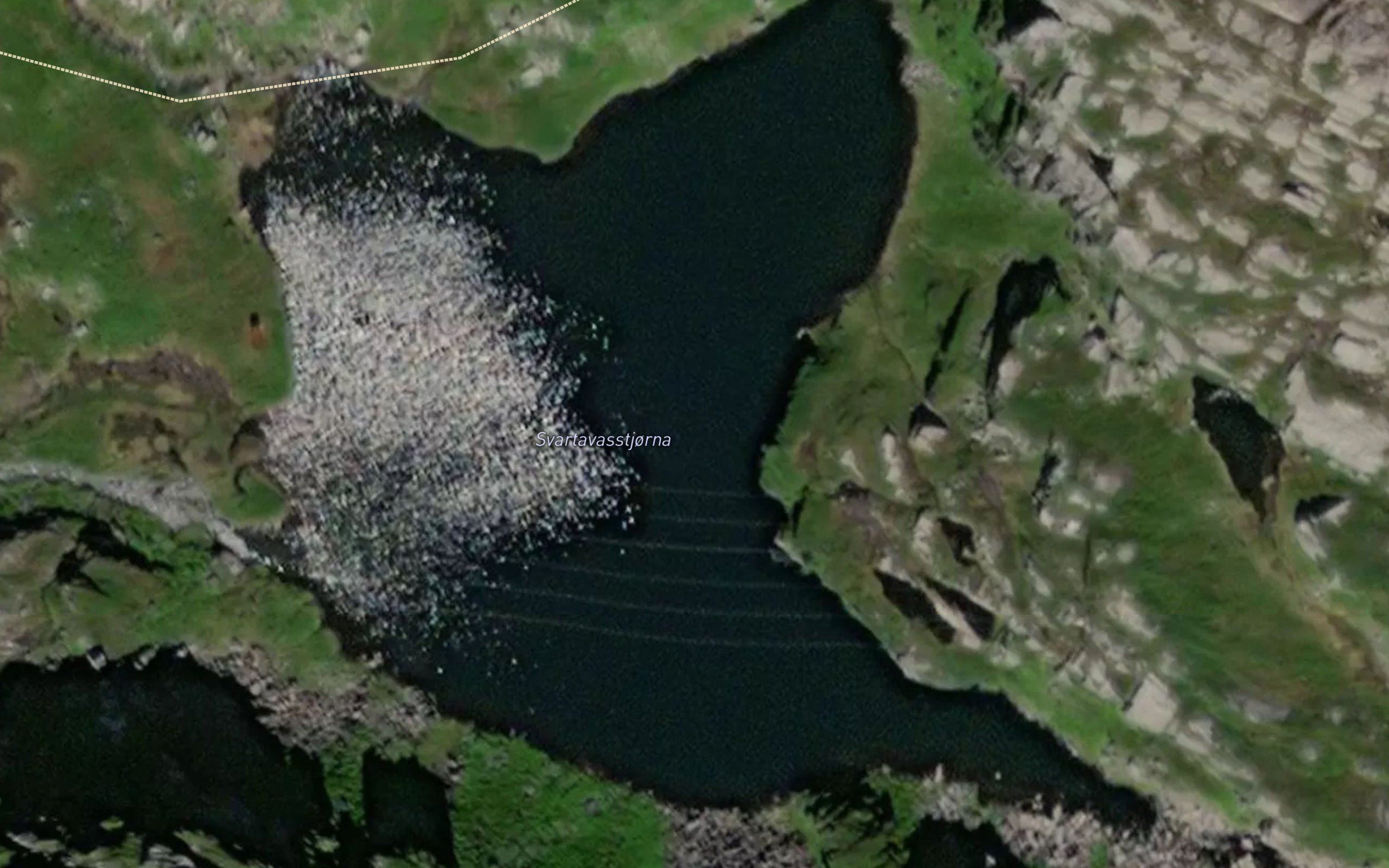 Svortetjorn