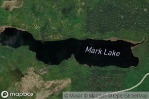 Mark Lake