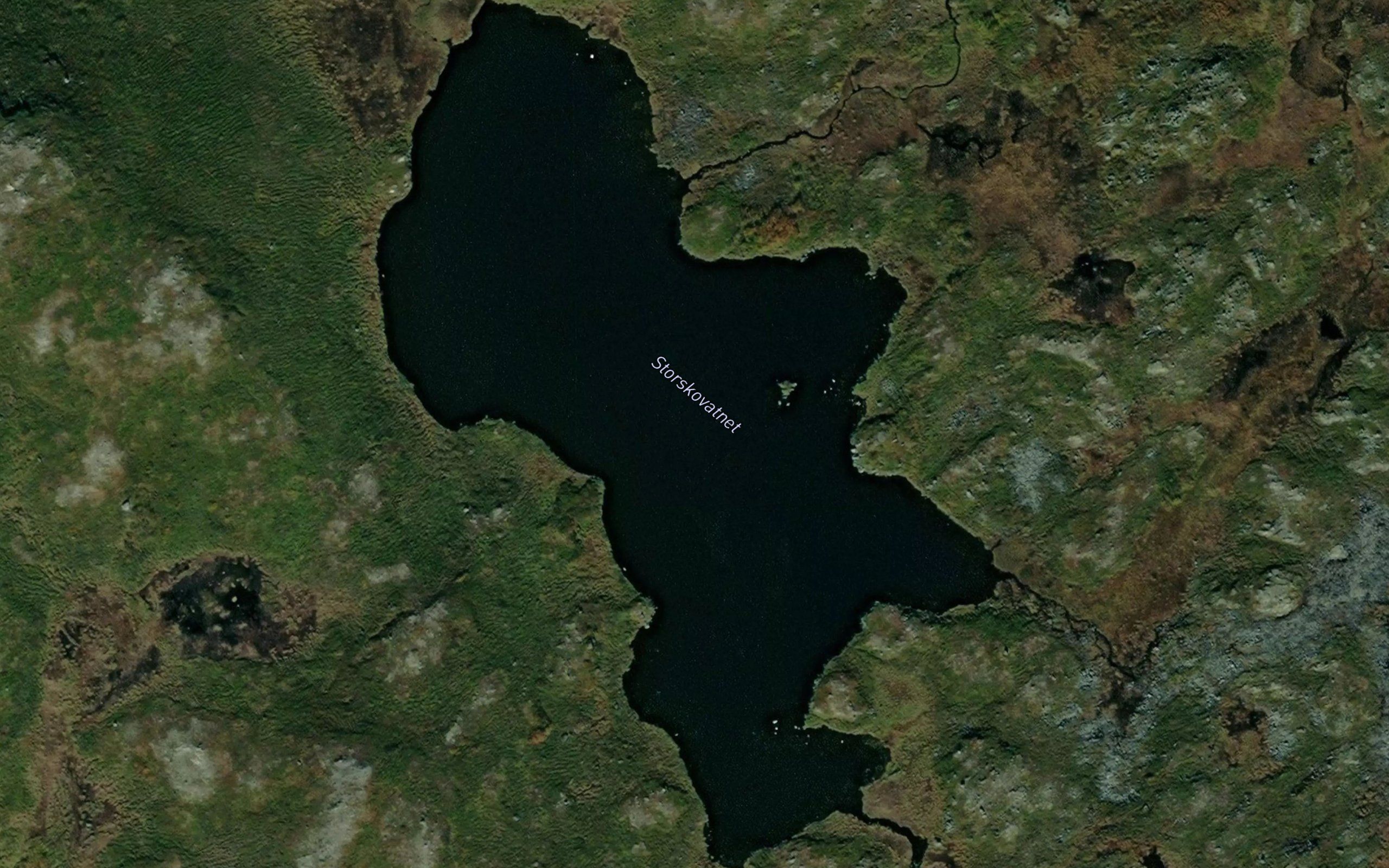 Storskovannet