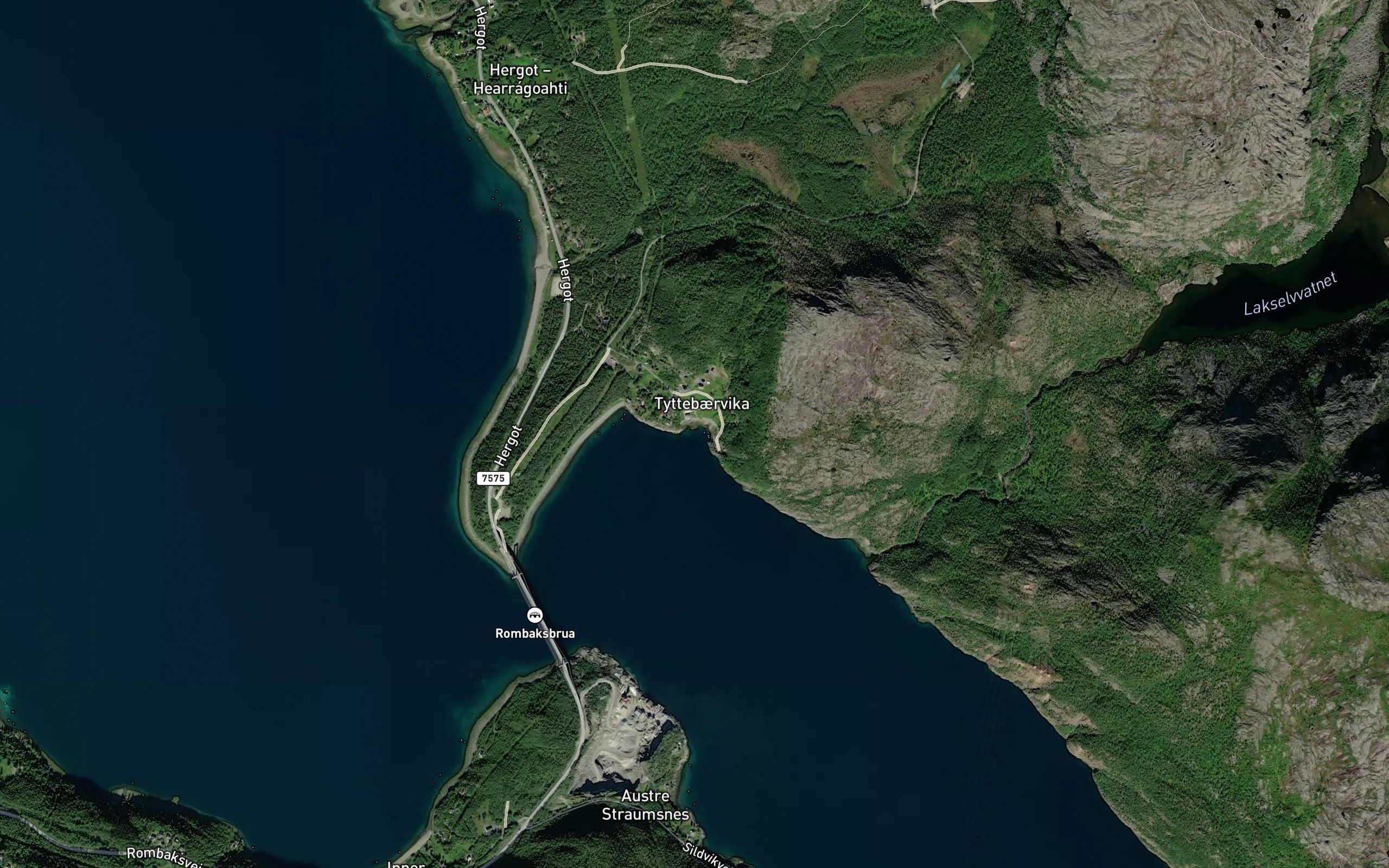 Tyttebaervika