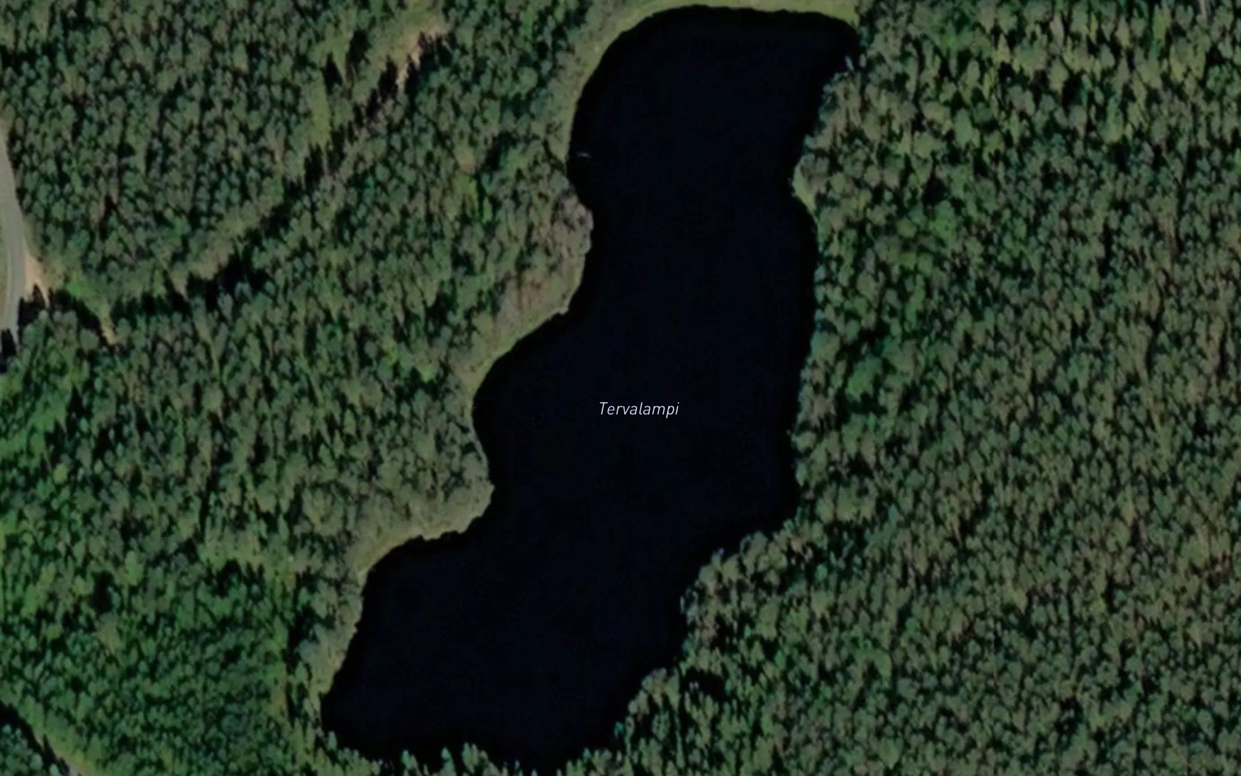 Tervalampi
