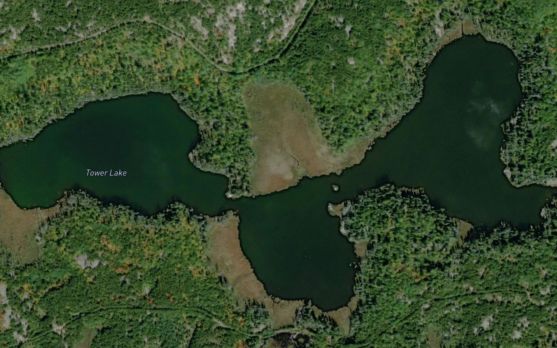 Satellite map of the Tower Lake
