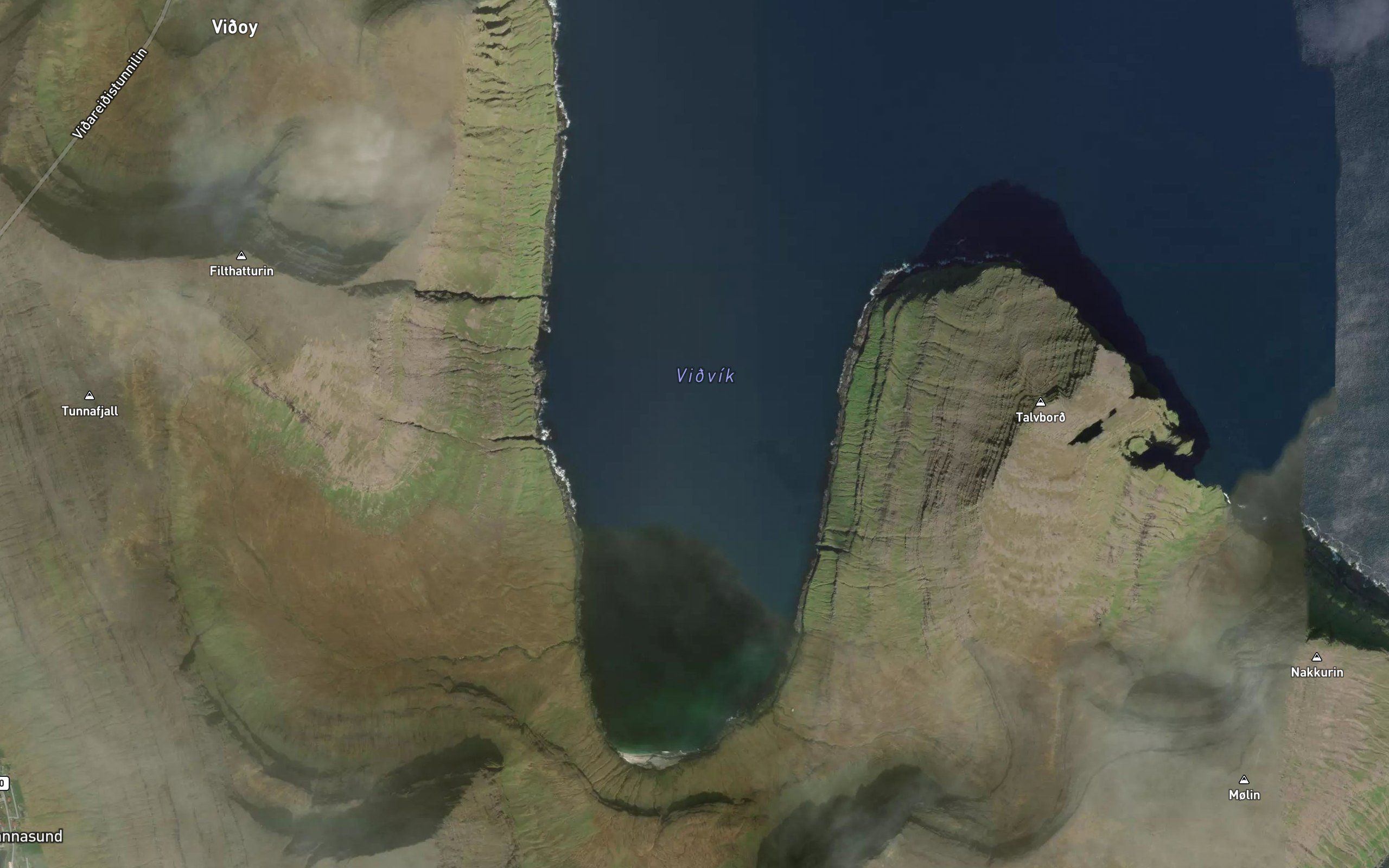 Vidhvik