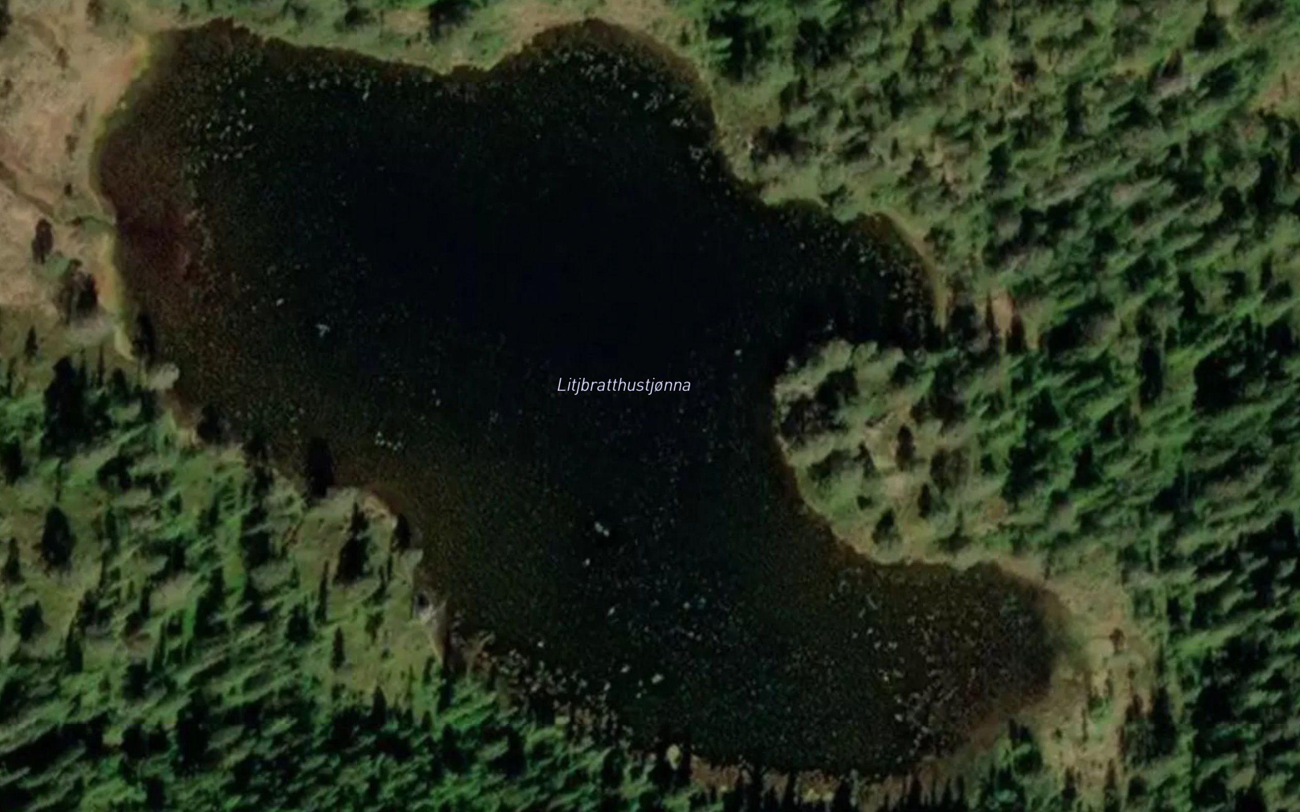 Litl-Bratthustjonna