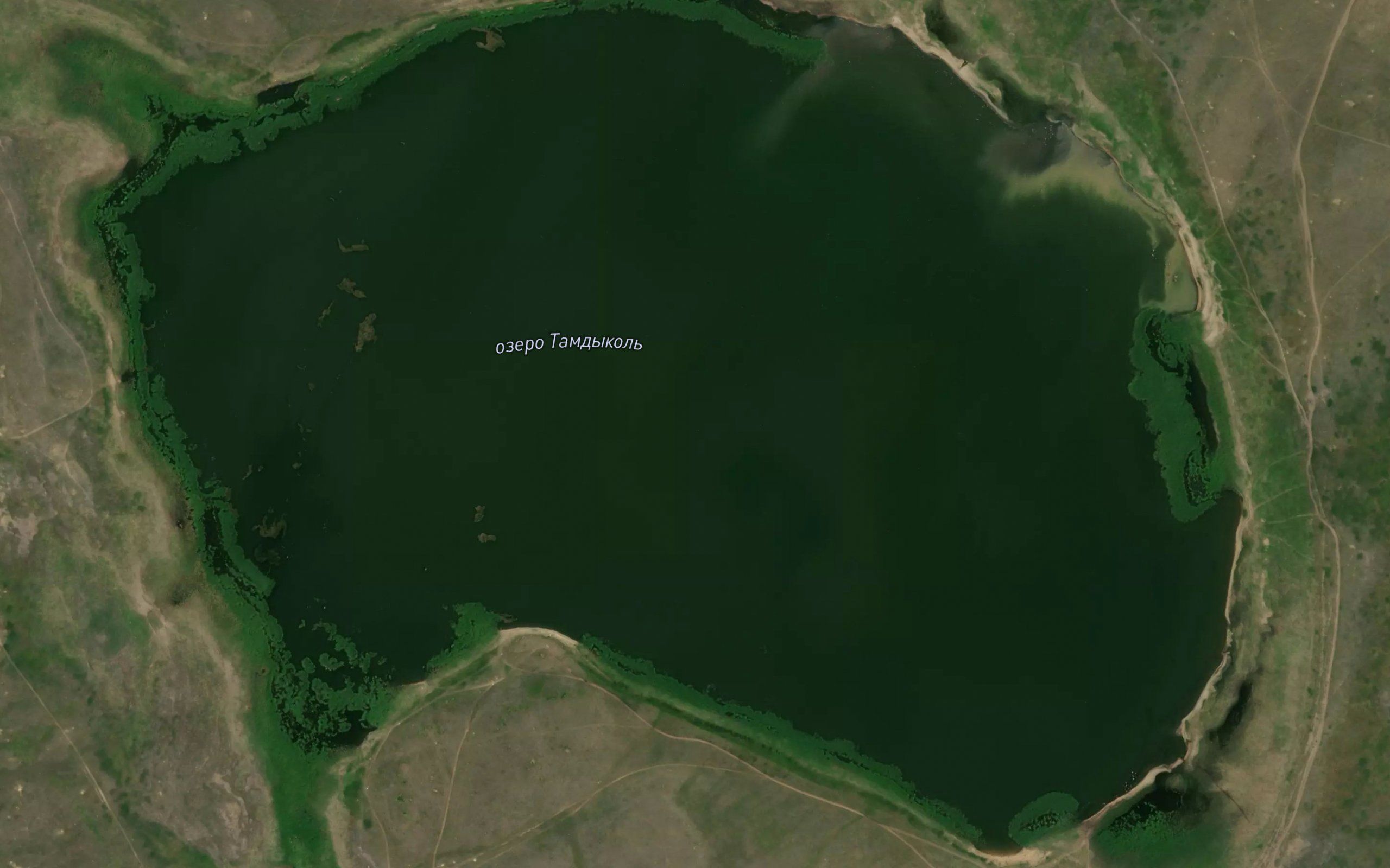 Ozero Tamdykol'