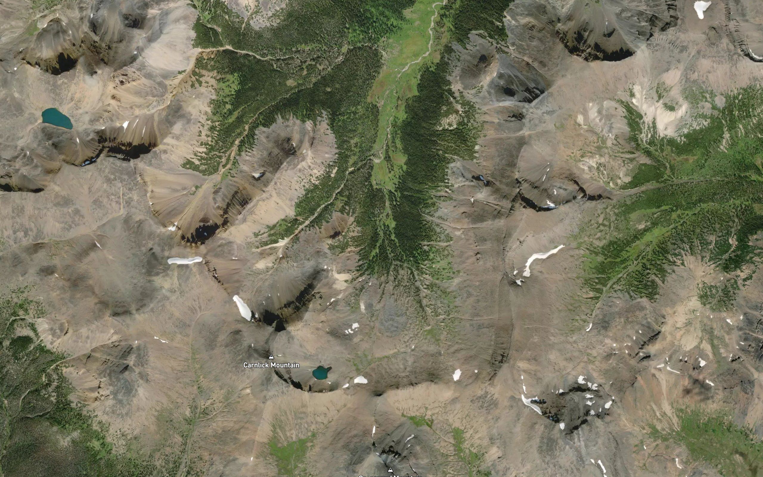 Saxifraga Creek