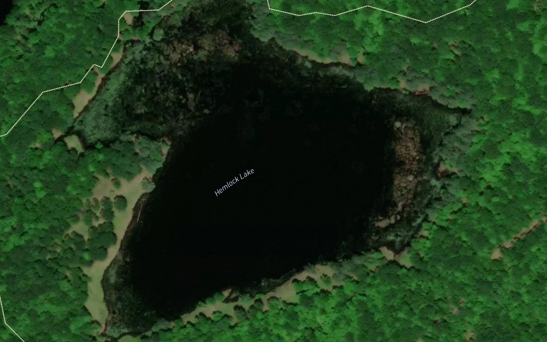 Satellite map of the Hemlock Lake