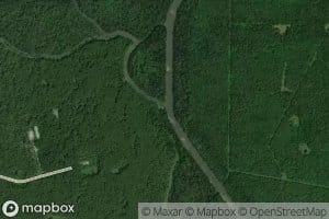 Coulee Nicole Guidry