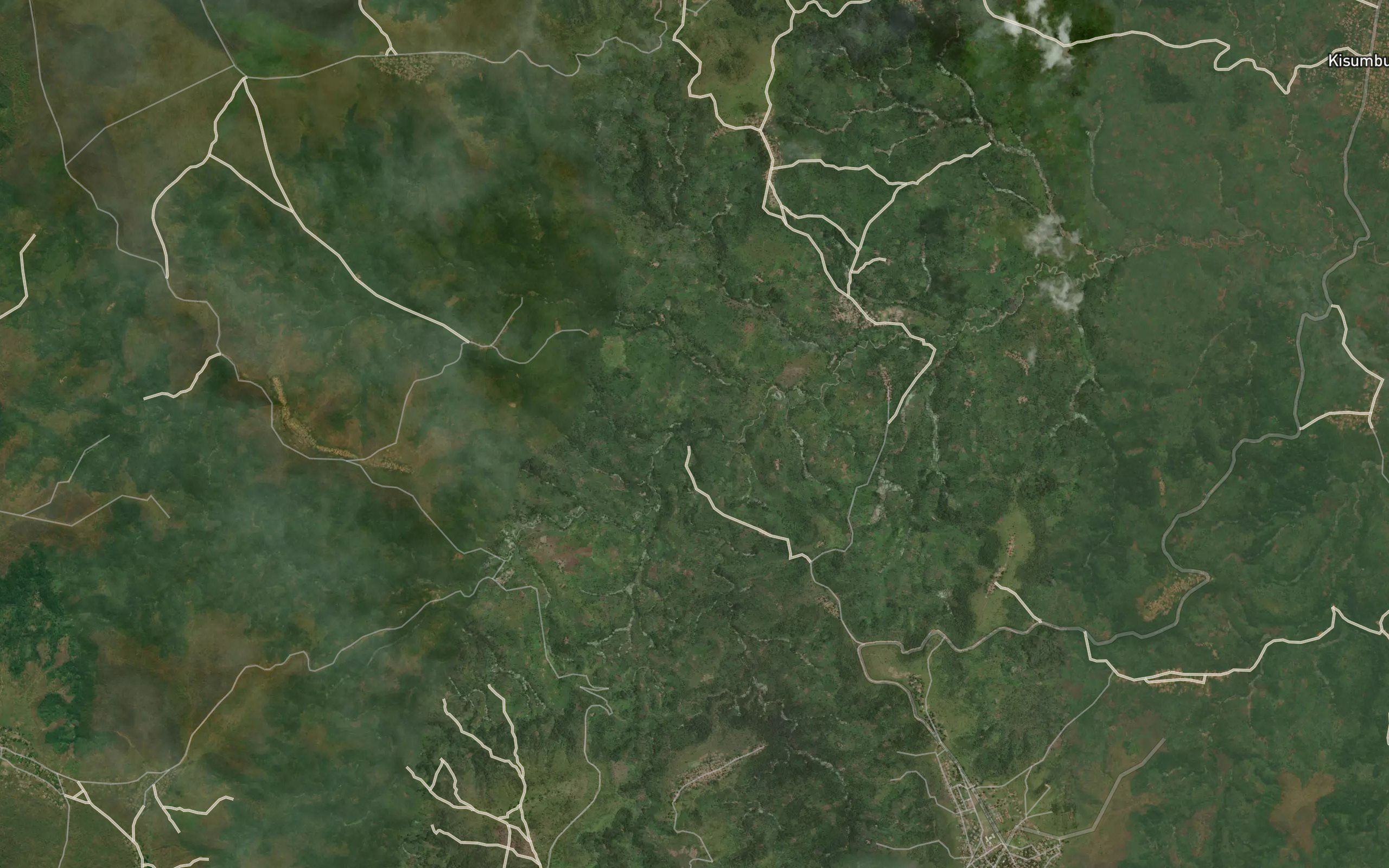Makunga