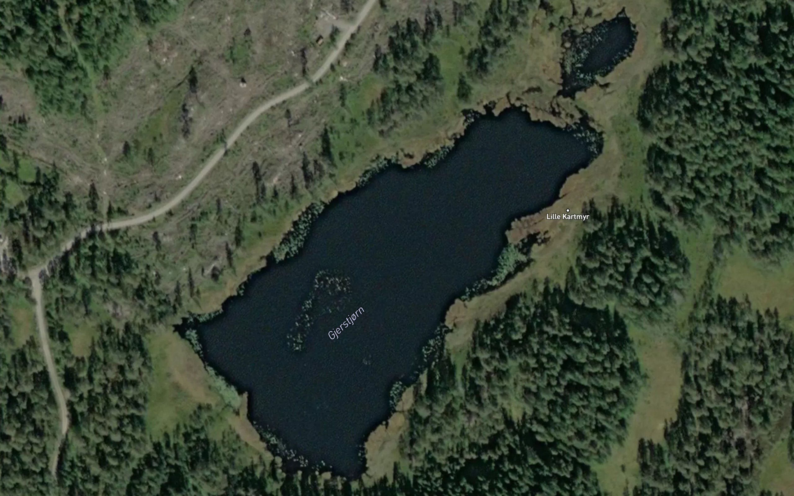 Gjerstjorn