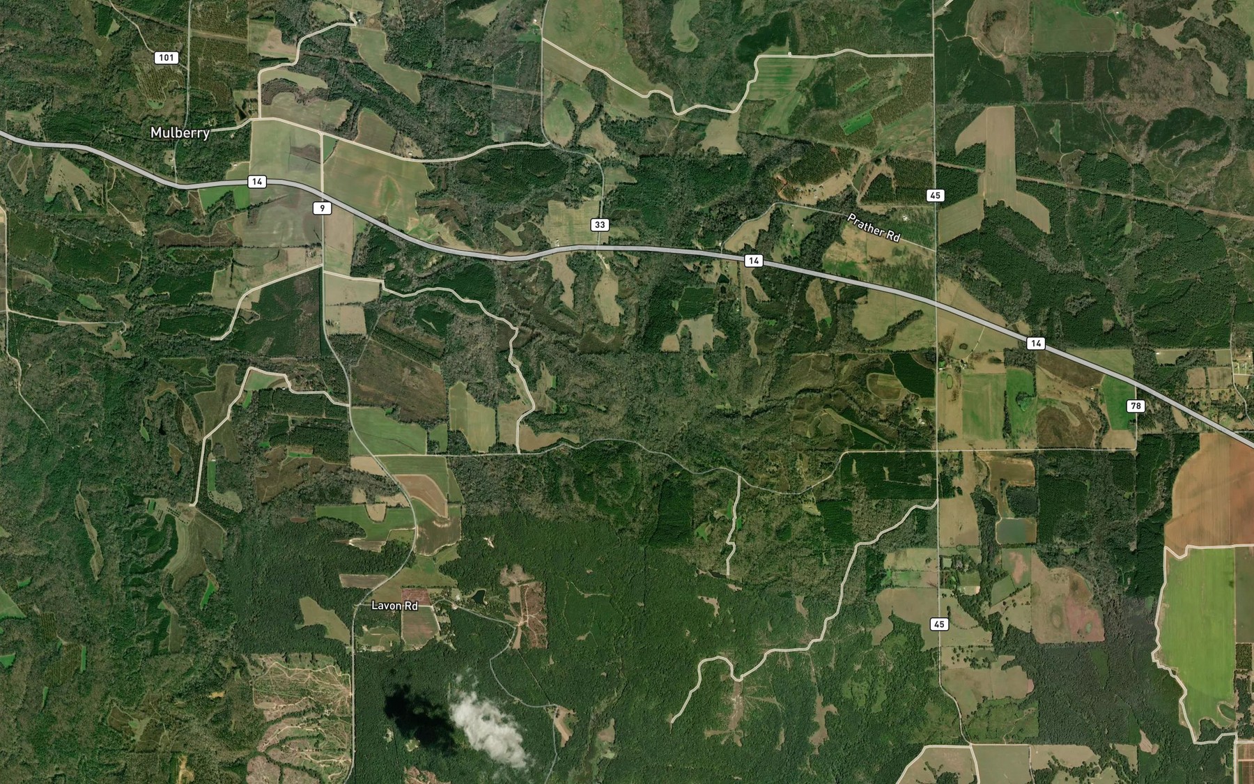 Satellite map of the Boggy Branch
