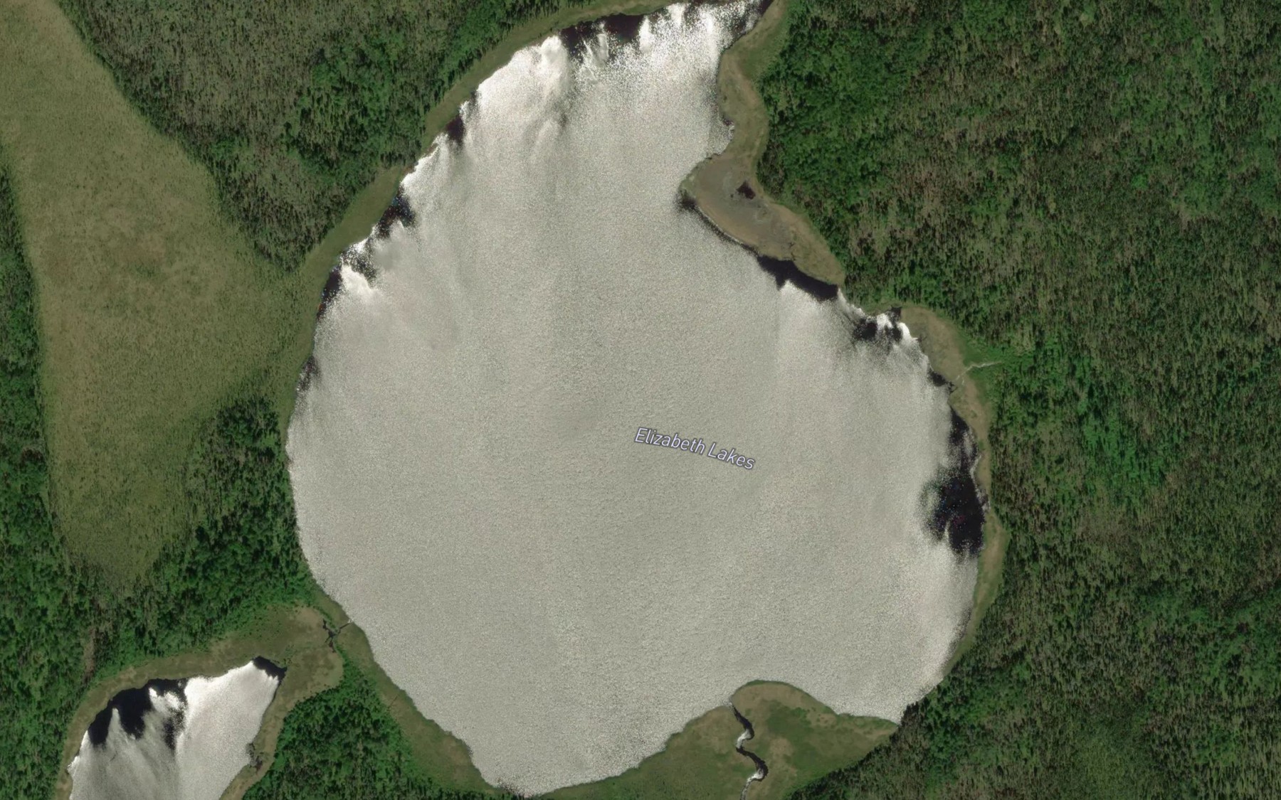 Satellite map of the Elizabeth Lakes
