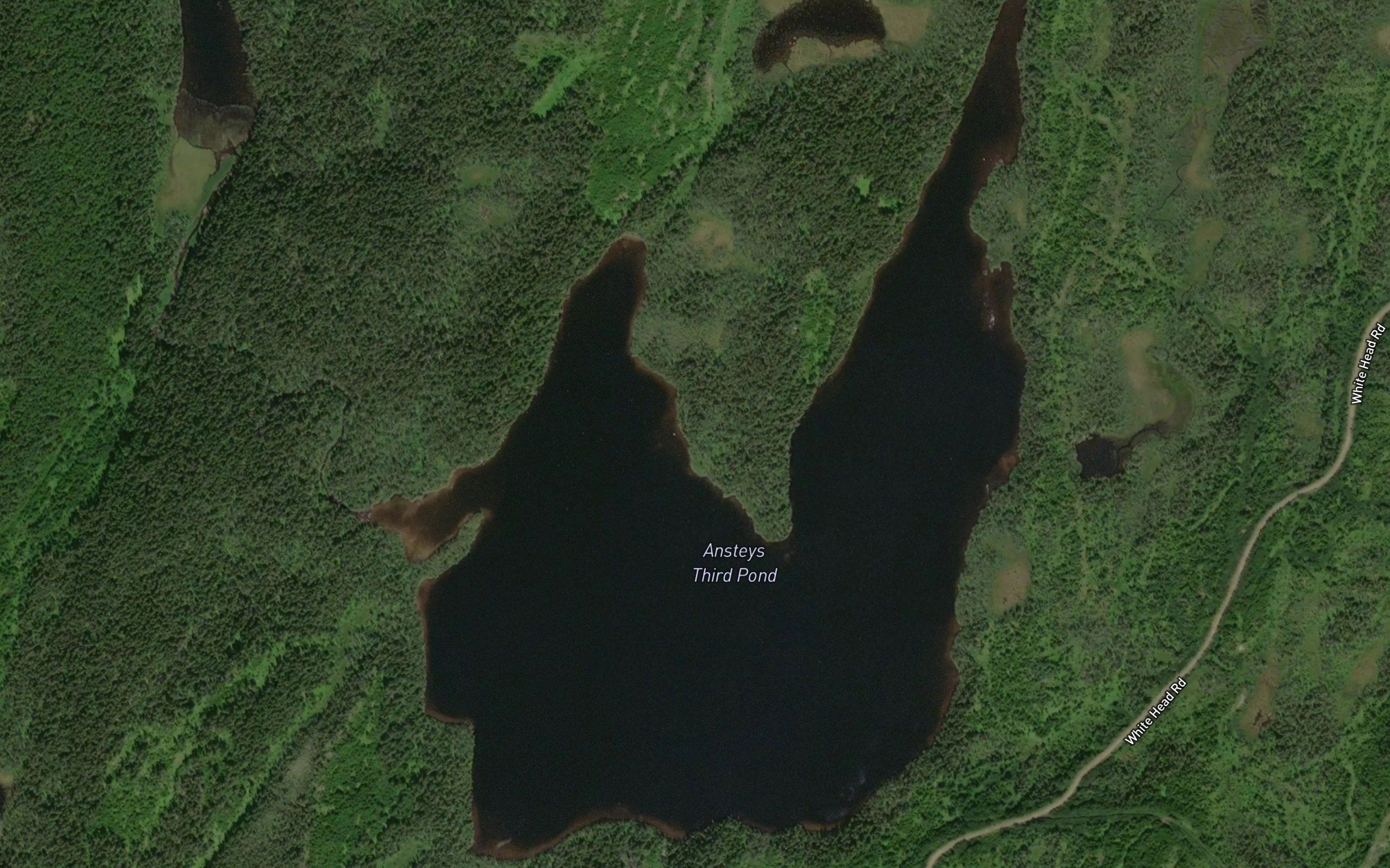 Ansteys Third Pond