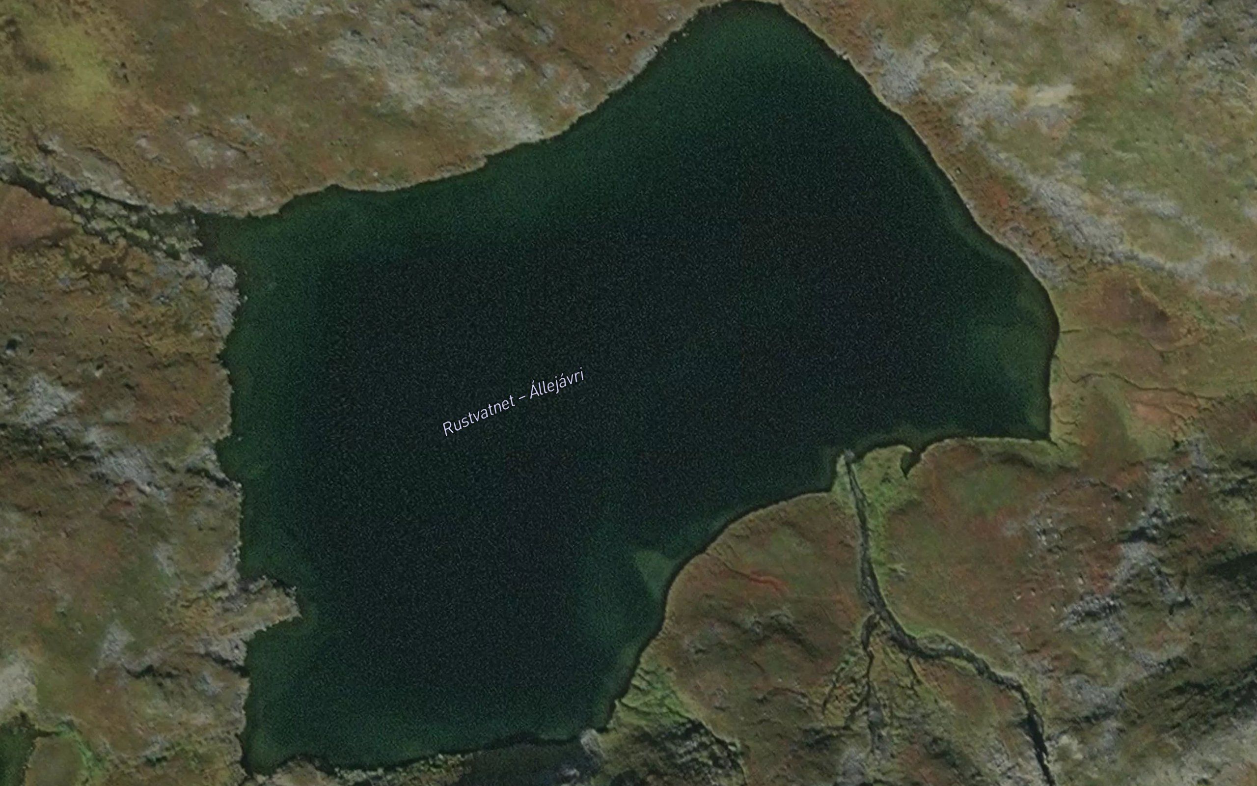 Allejavri