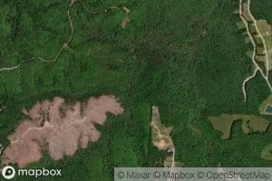 Mineral Springs Branch