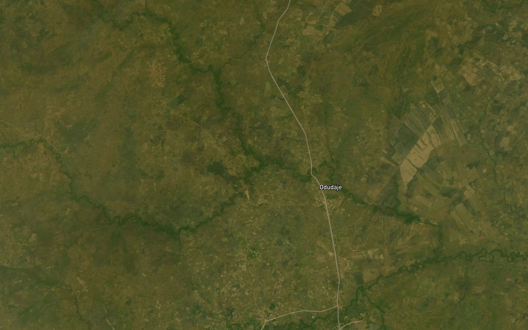 Satellite map of the River Amula