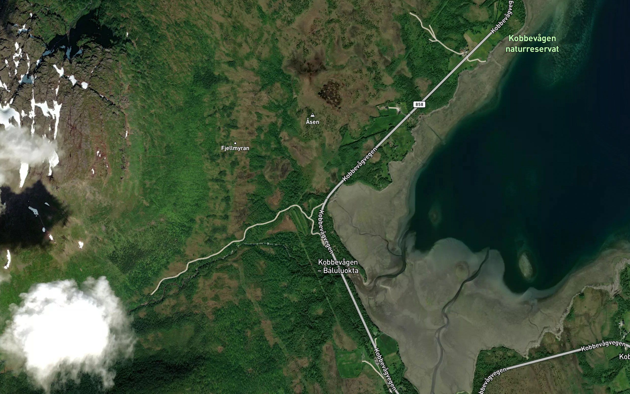 Djupvagelva