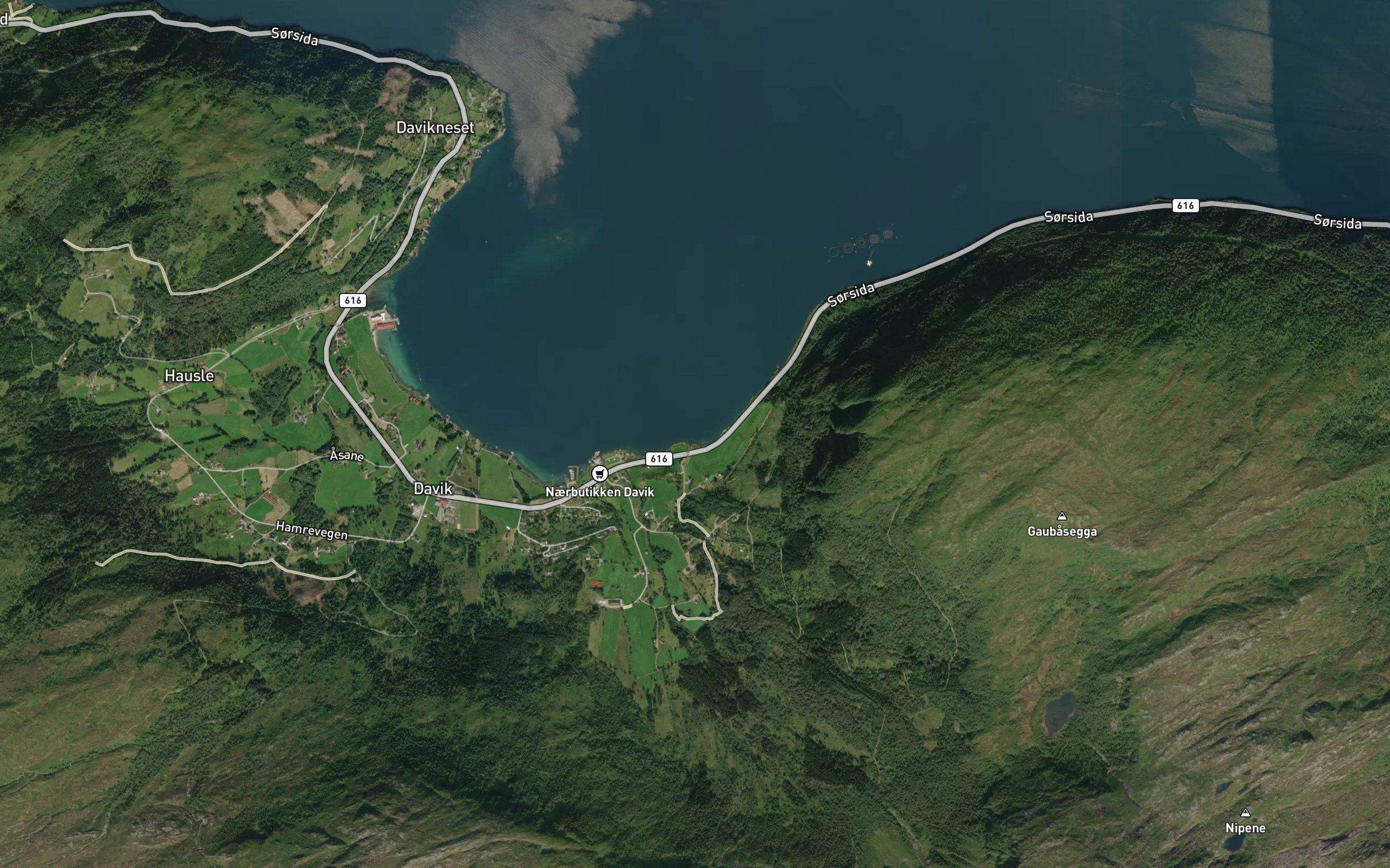 Leikvollvika