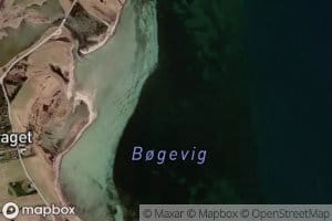 Bogevig