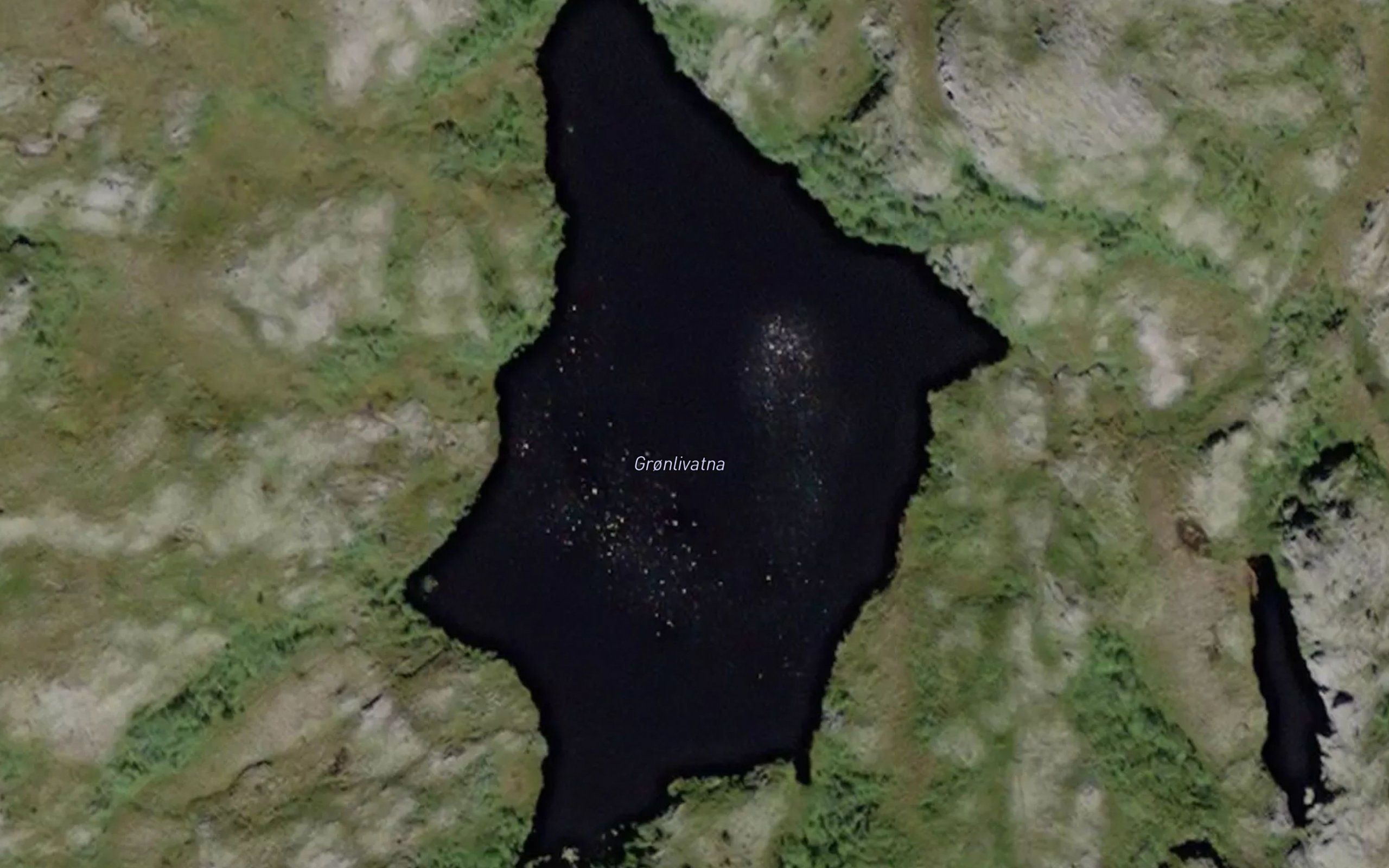 Gronlivatna