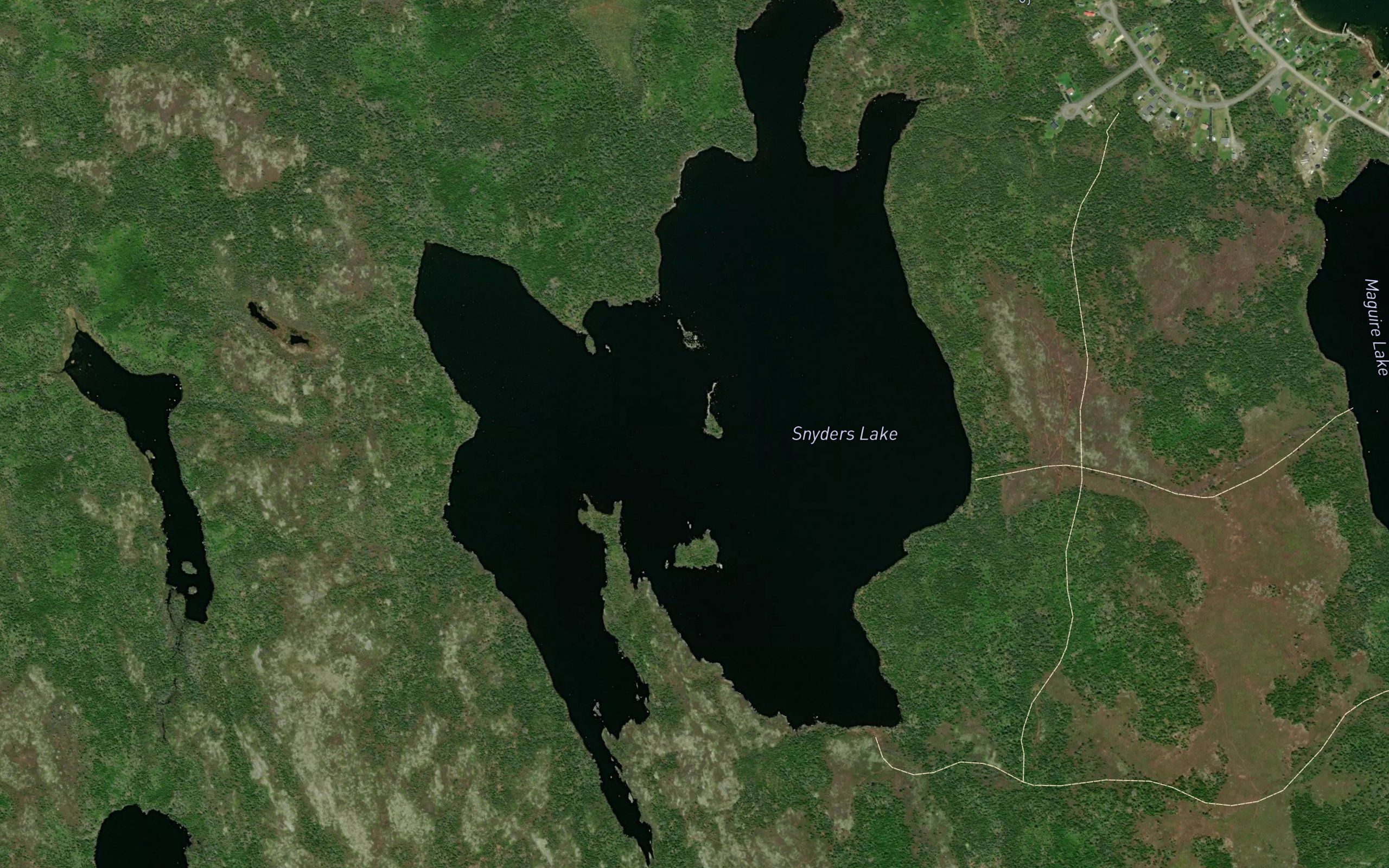 Snyders Lake