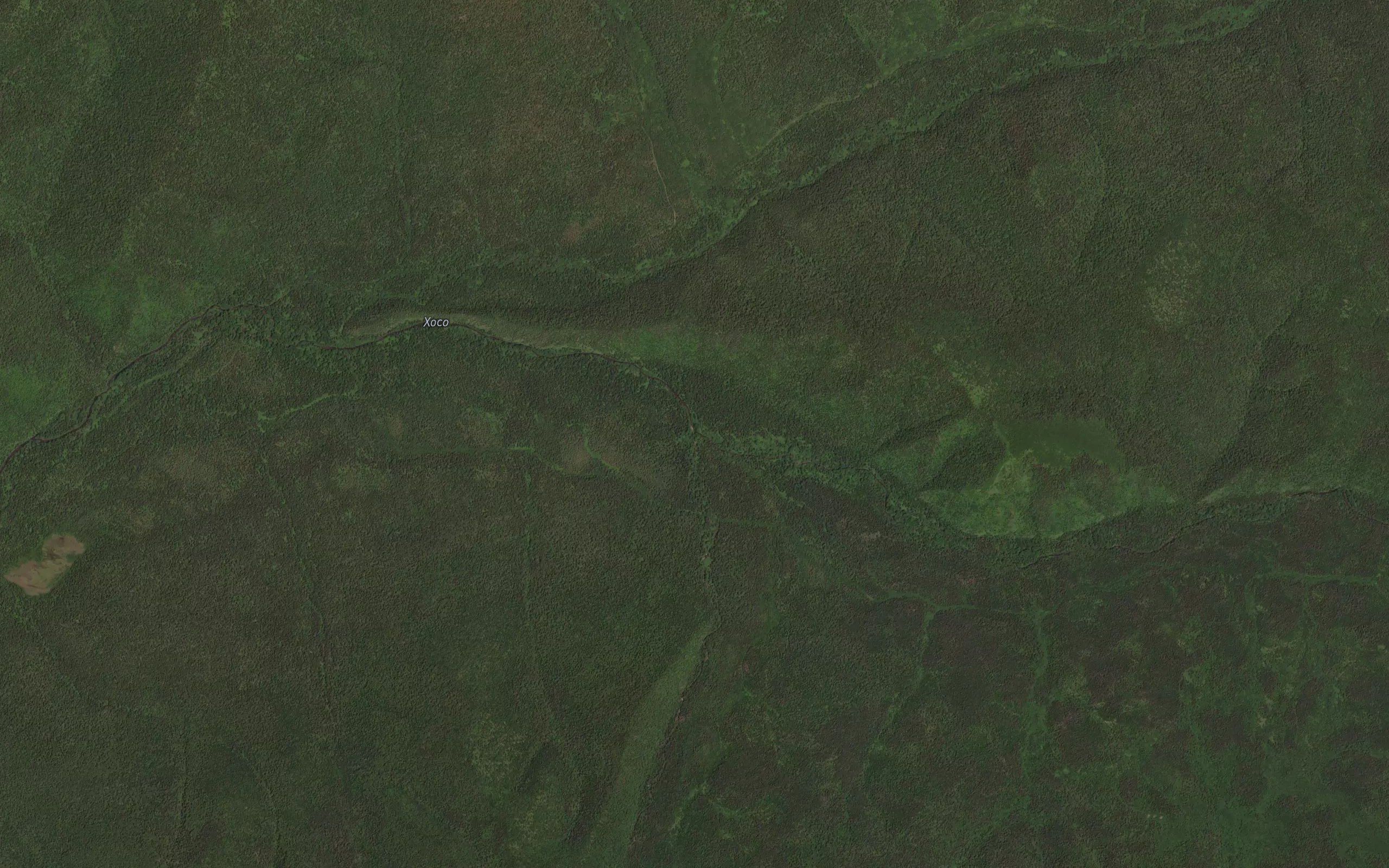 Snezhnyy