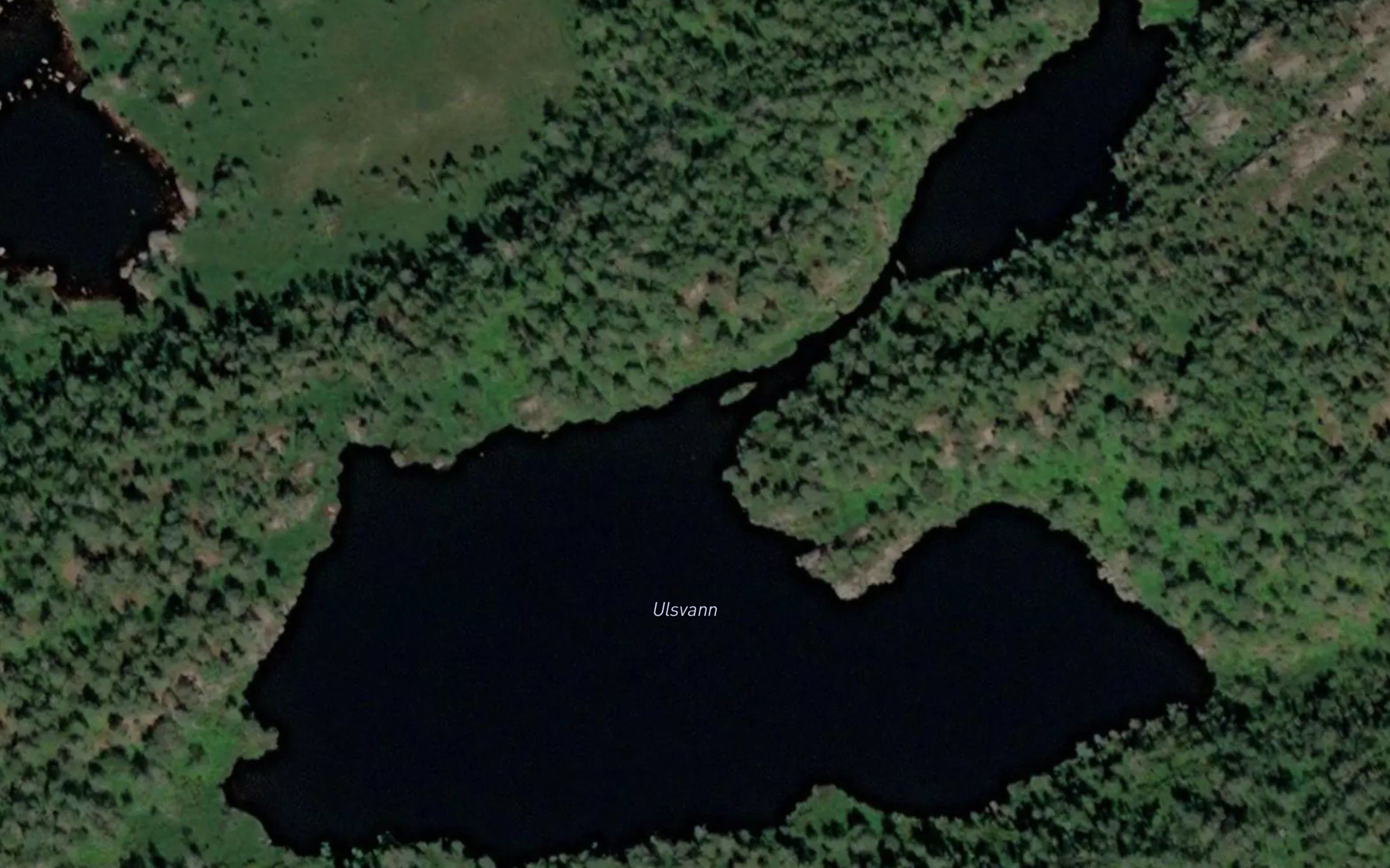 Ulsvann