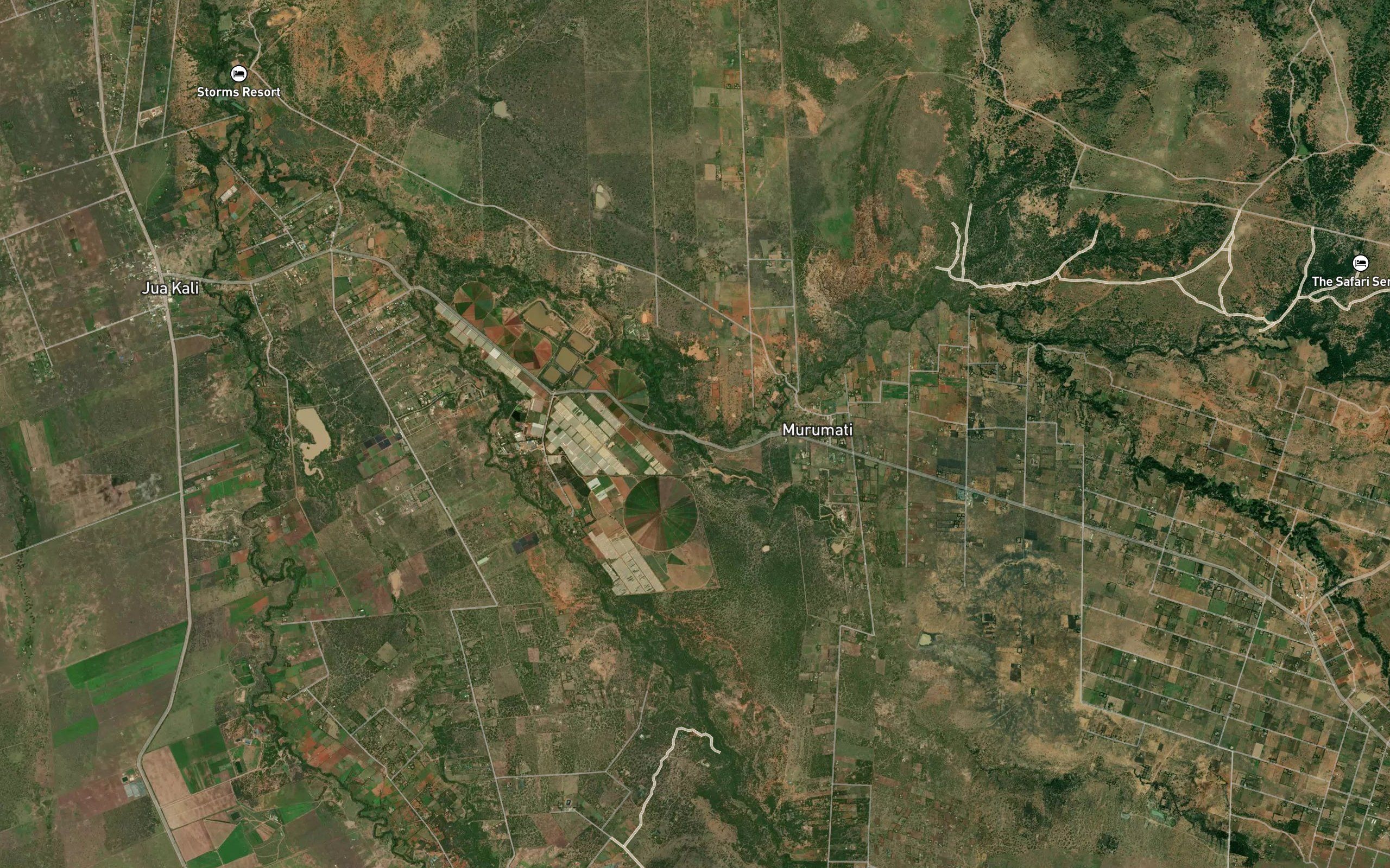 Burongai