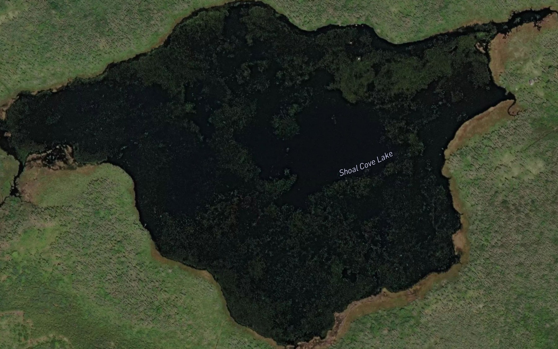 Satellite map of the Shoal Cove Lake