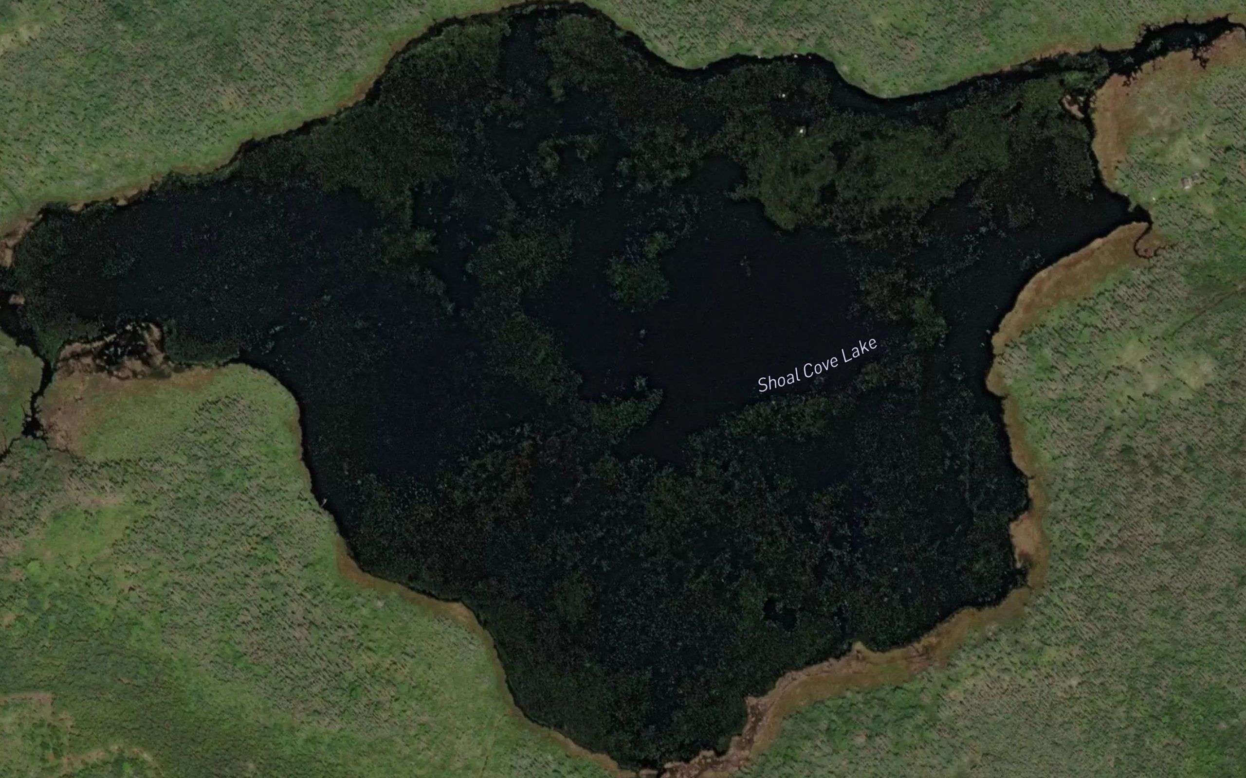 Shoal Cove Lake
