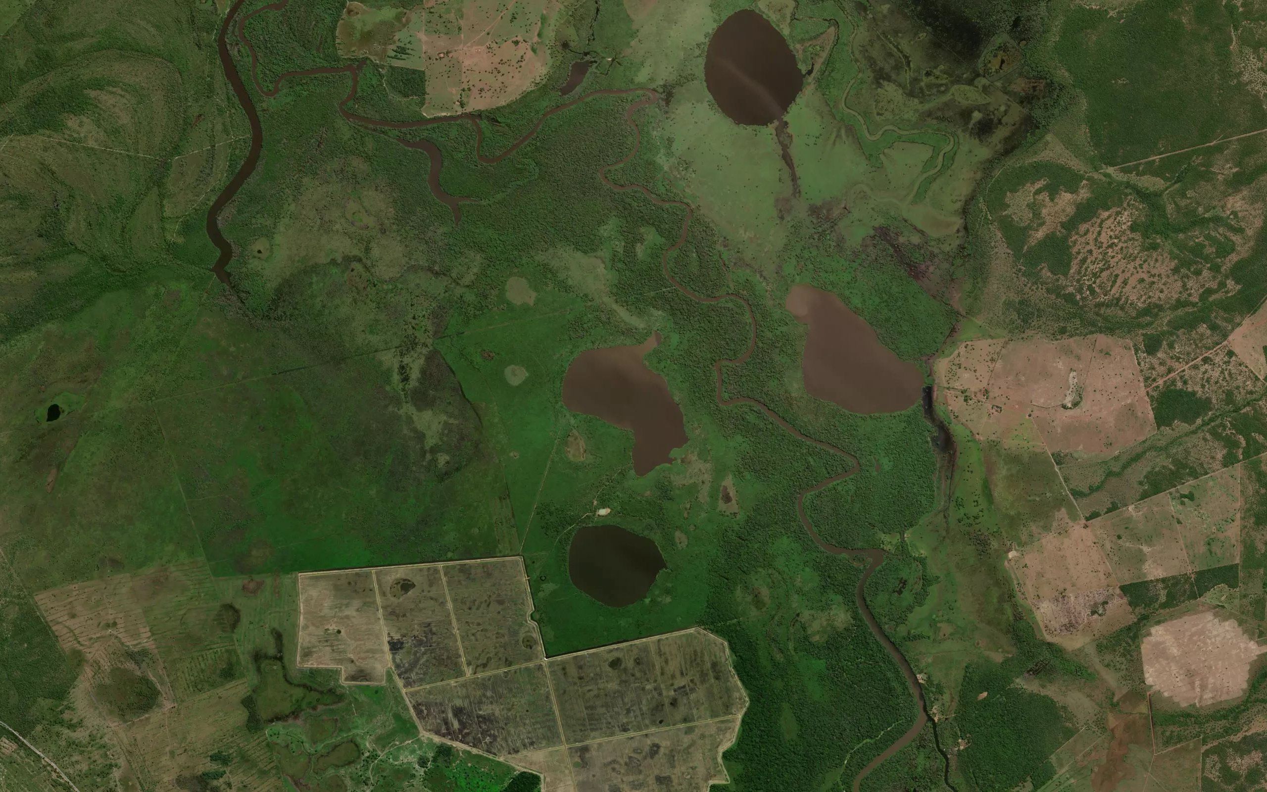 Lagoa Dourada