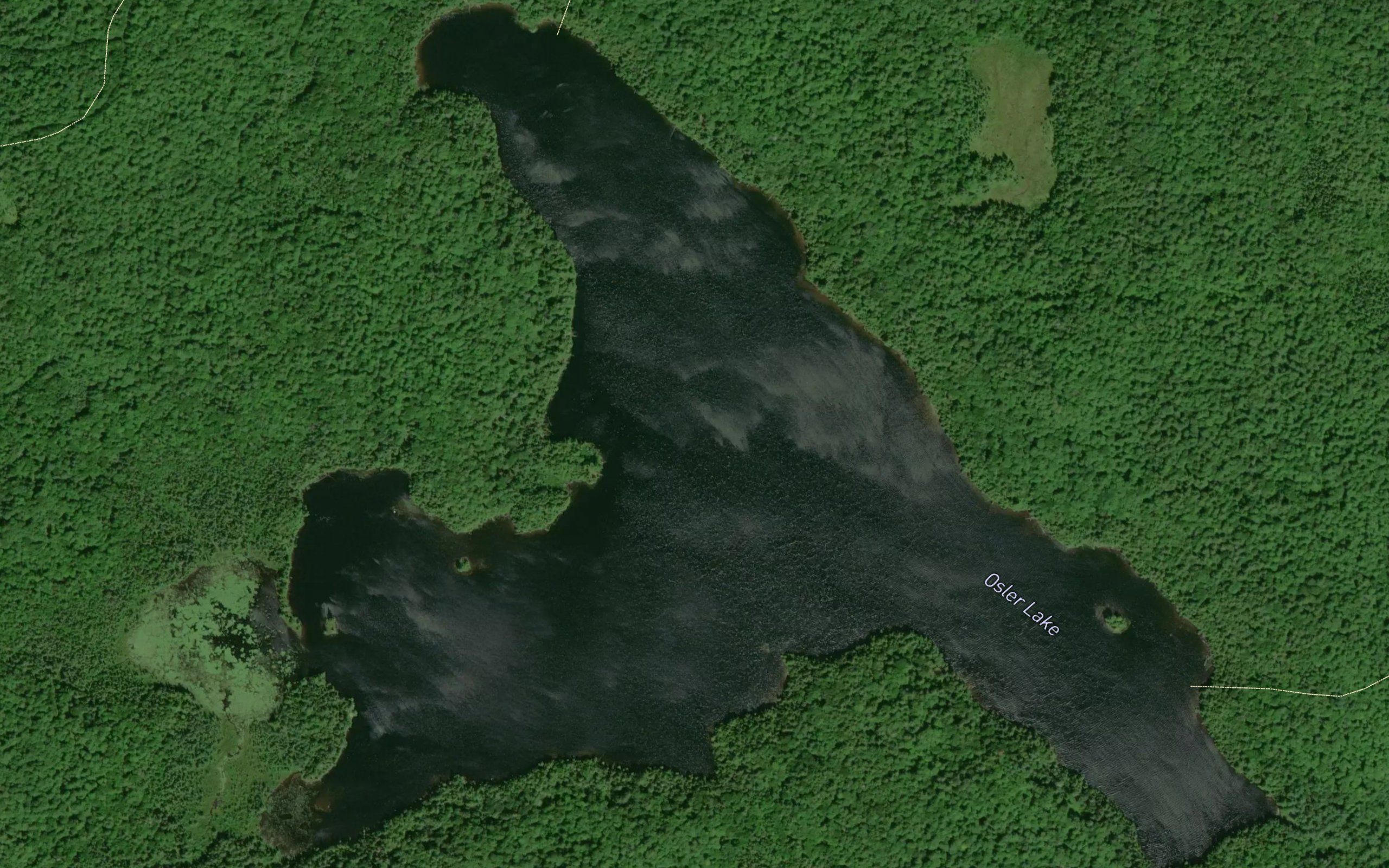 Osler Lake