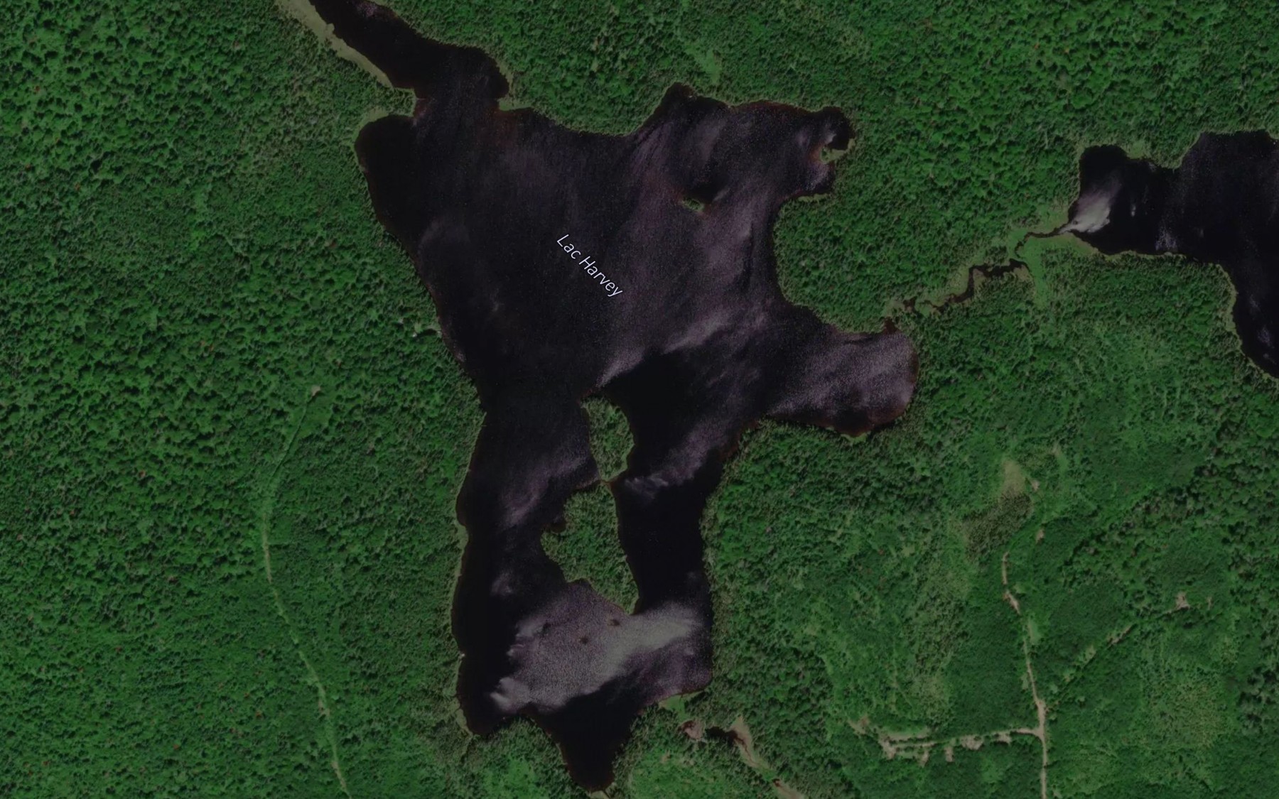 Satellite map of the Lac Harvey