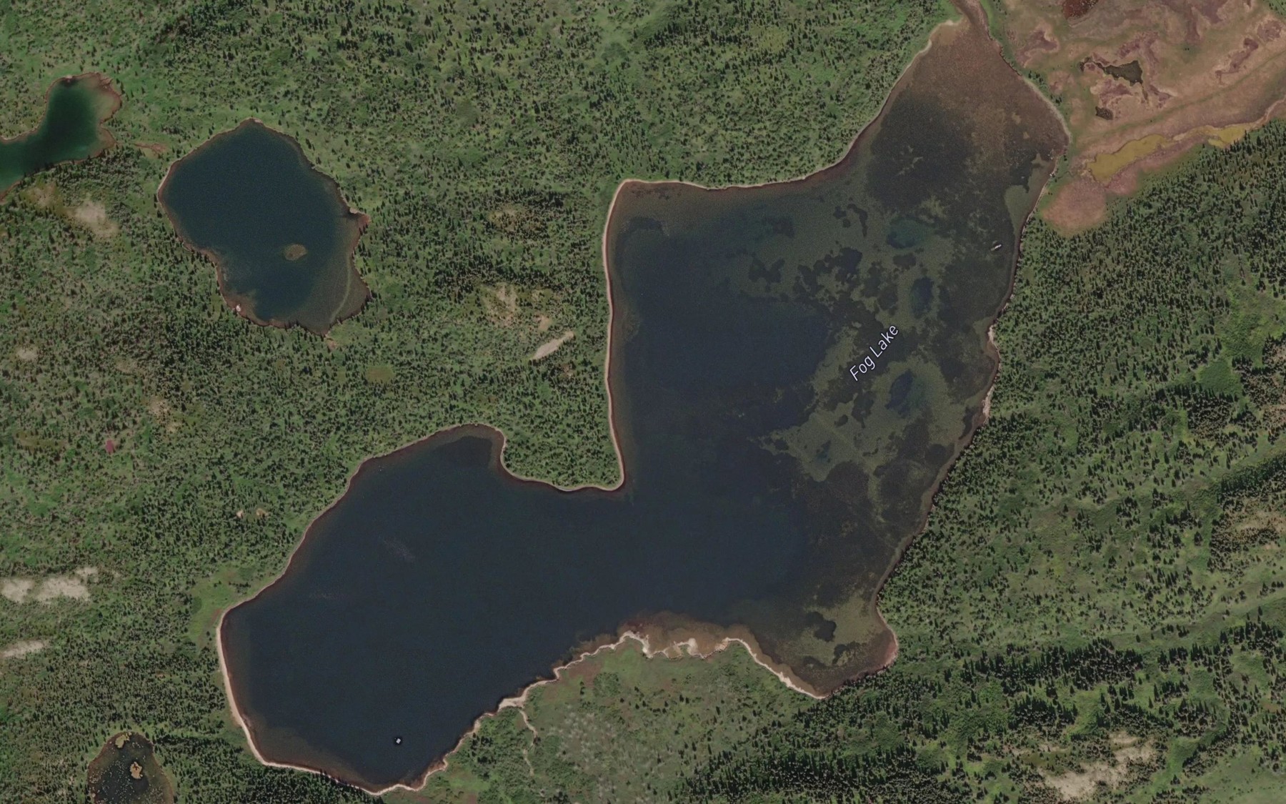 Satellite map of the Fog Lake