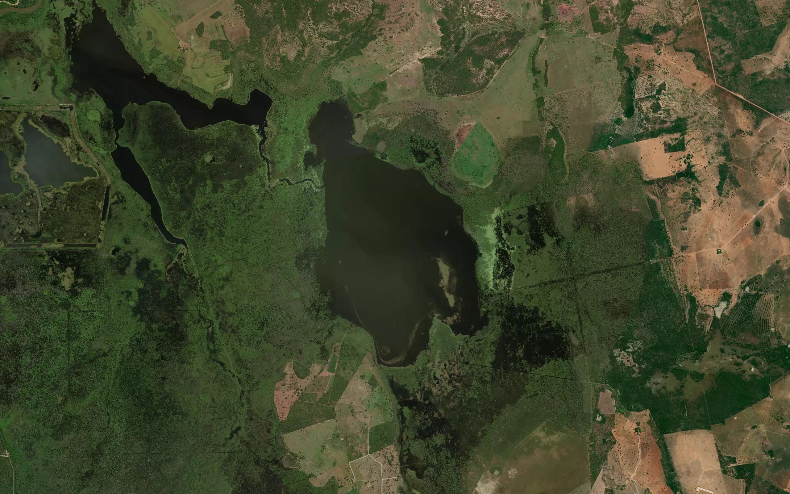 Lagoao
