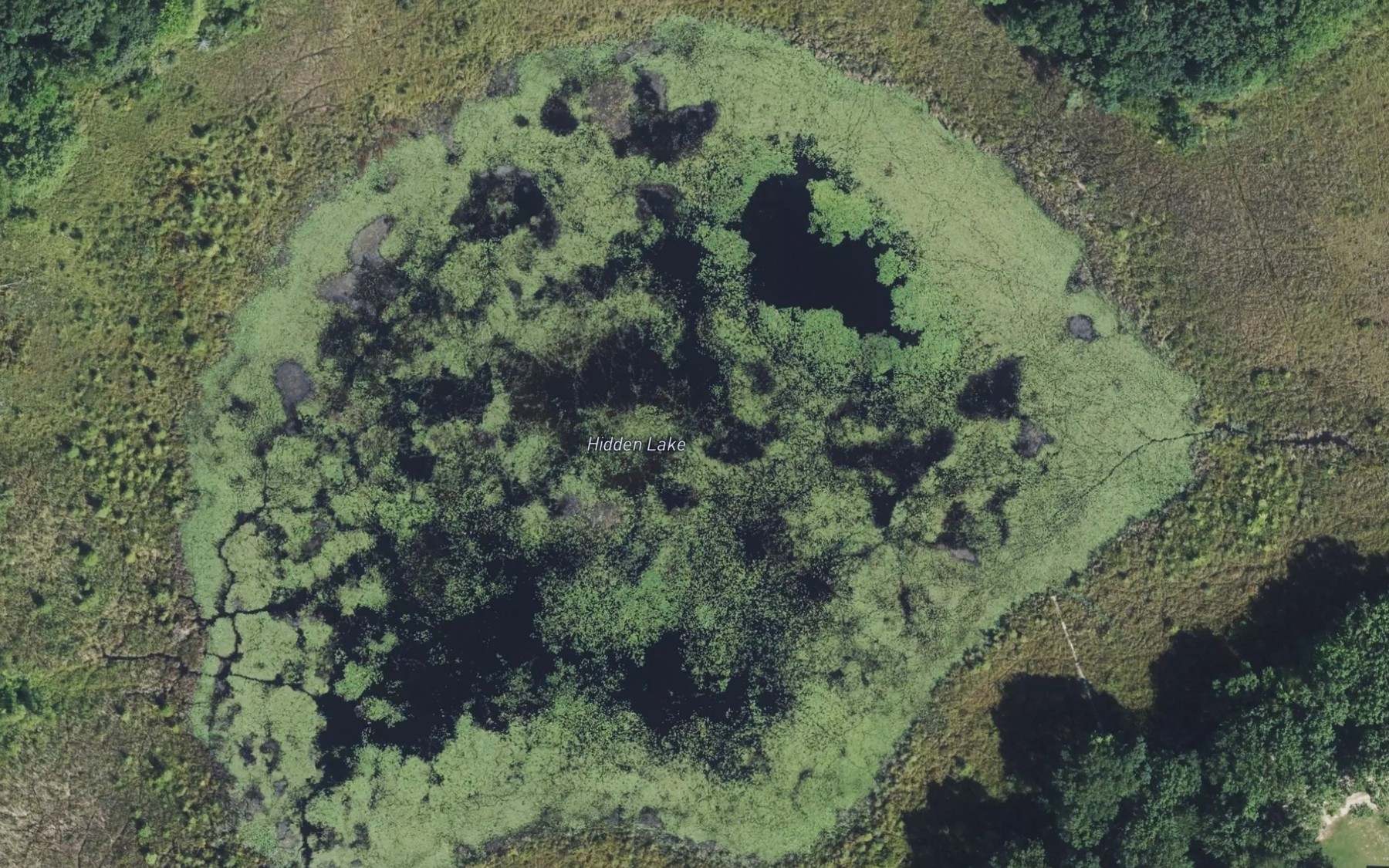 Satellite map of the Hidden Lake