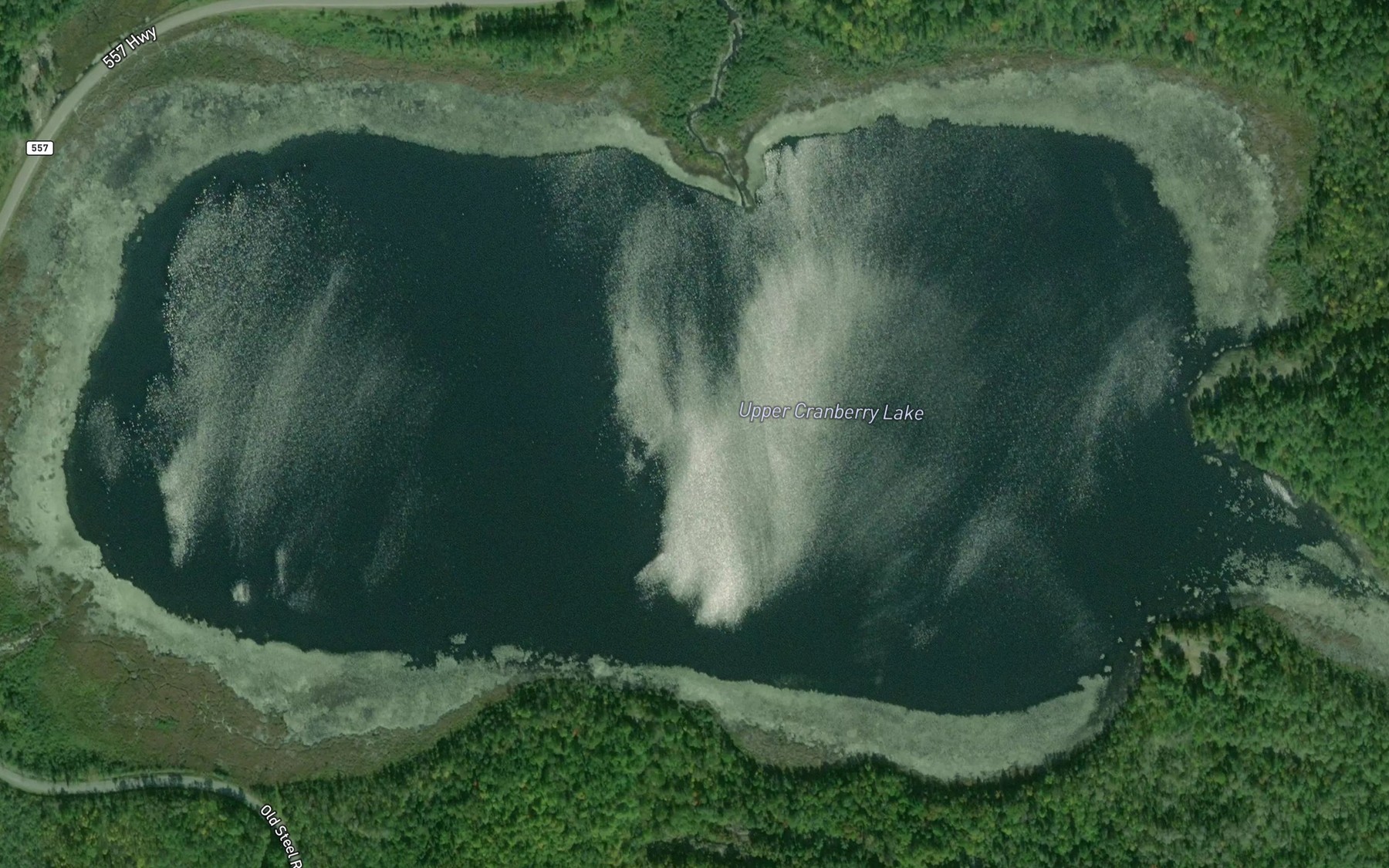Satellite map of the Upper Cranberry Lake