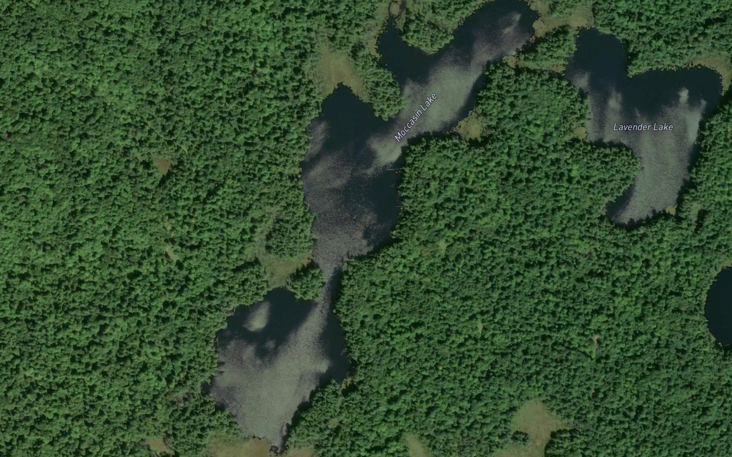Moccasin Lake